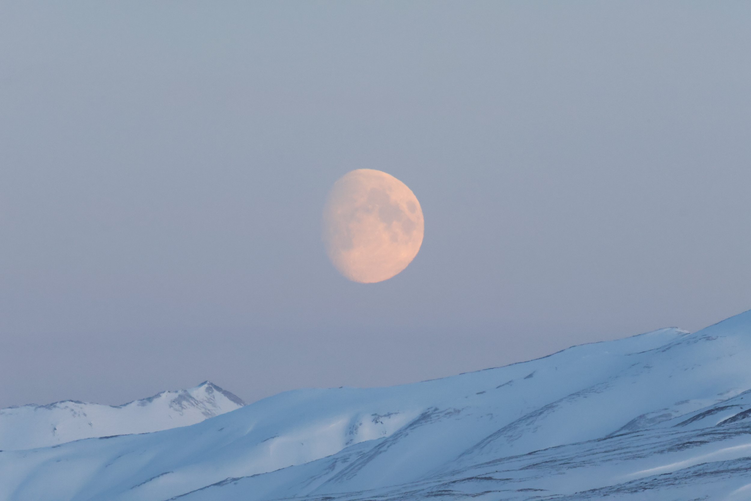 Friday, 10 January 2025