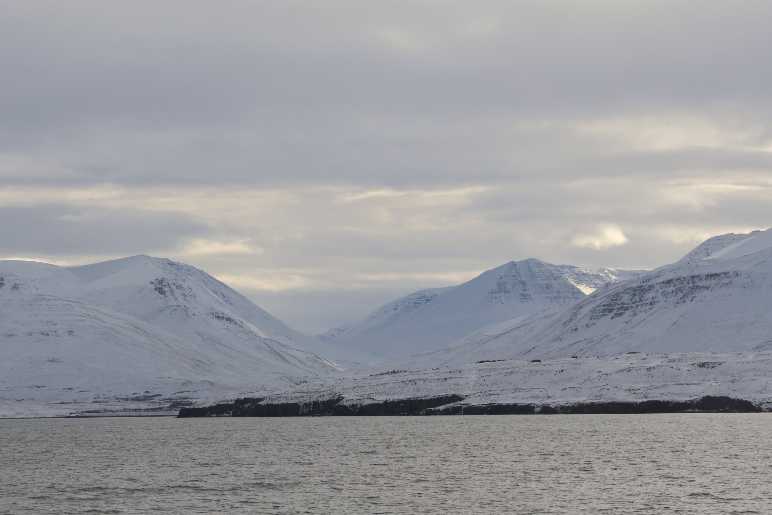 Thursday, 6 March 2025