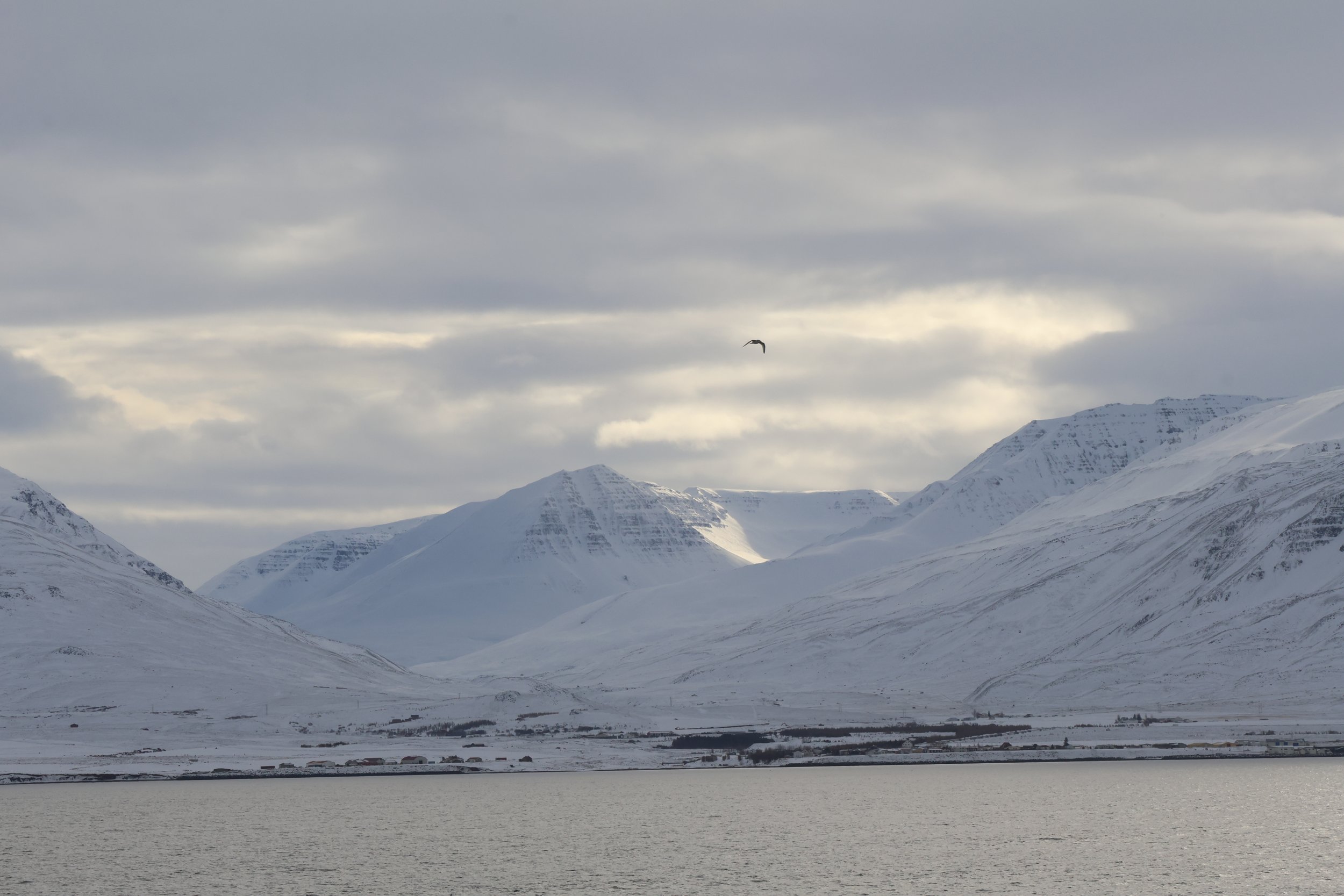 Thursday, 6 March 2025
