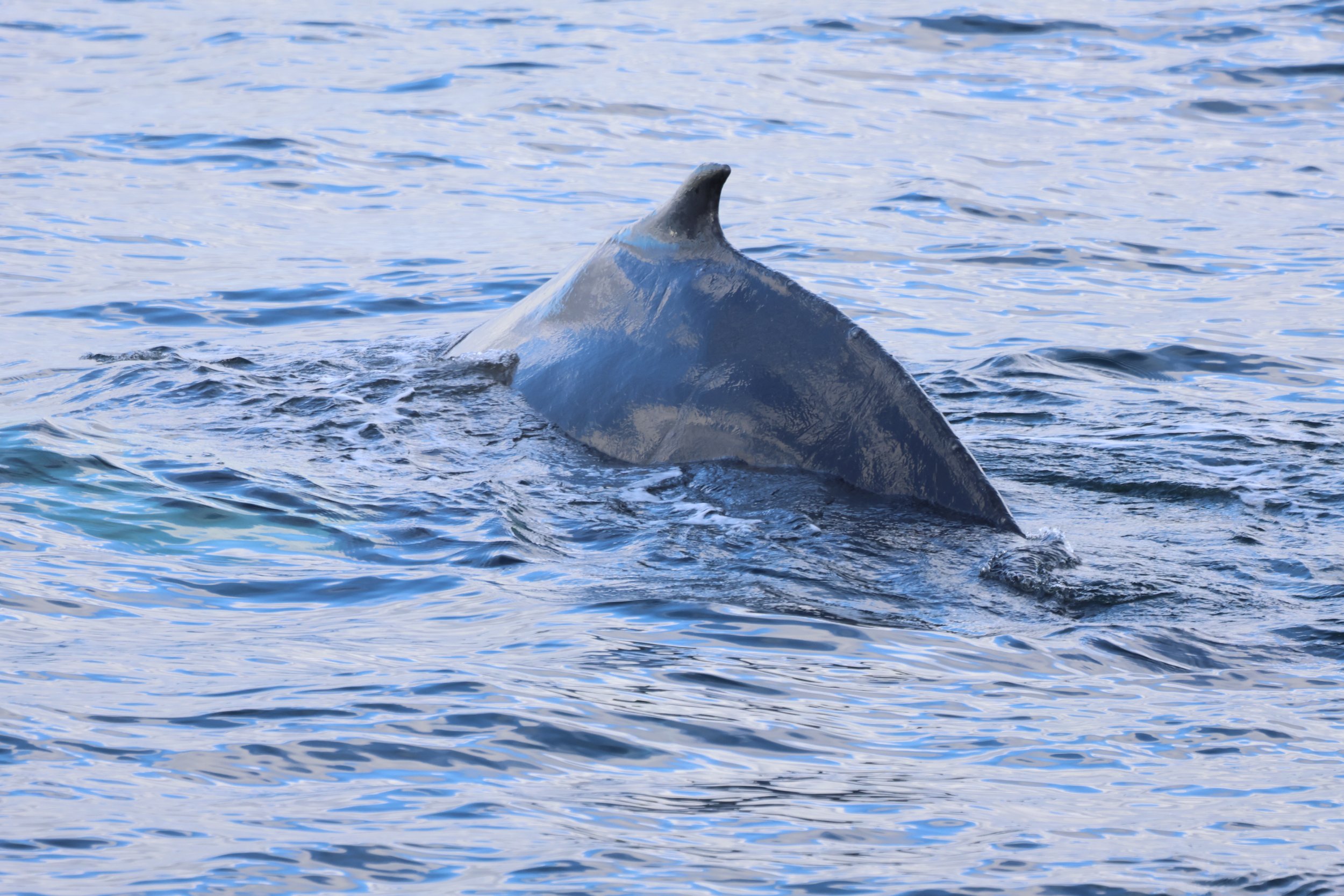 Tuesday, 18 March 2025