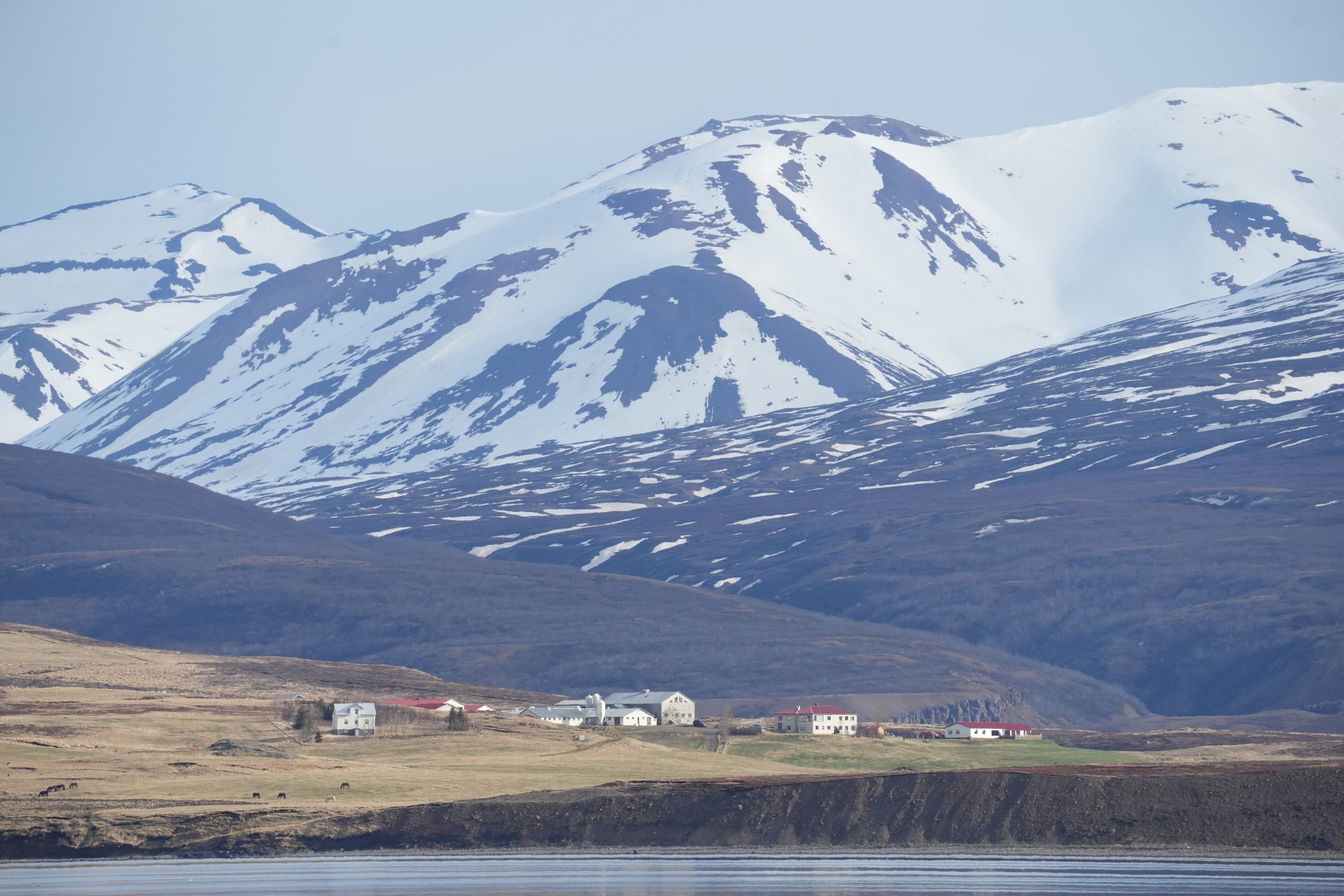 Wednesday, 9 April 2025