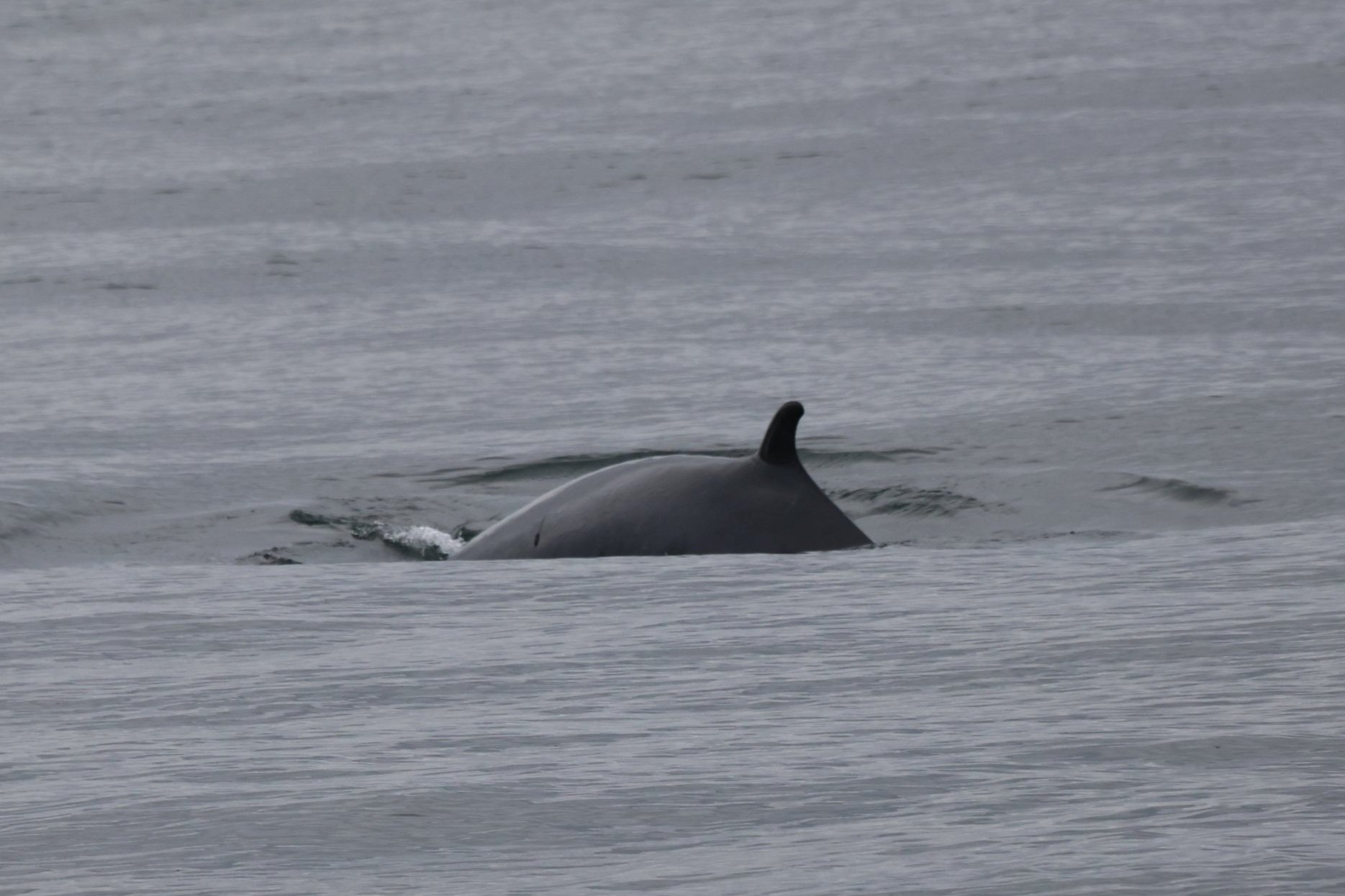 Wednesday, 9 April 2025