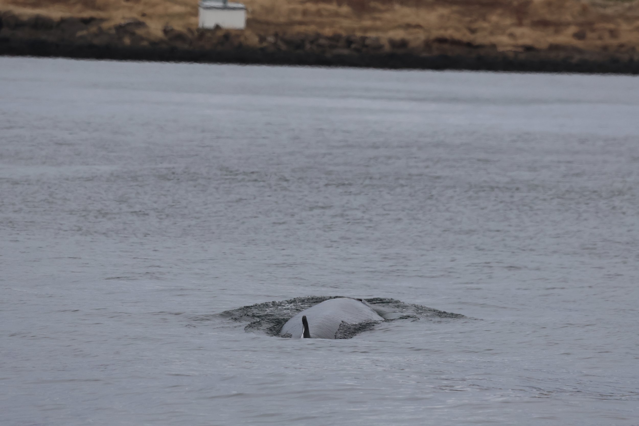 Wednesday, 9 April 2025