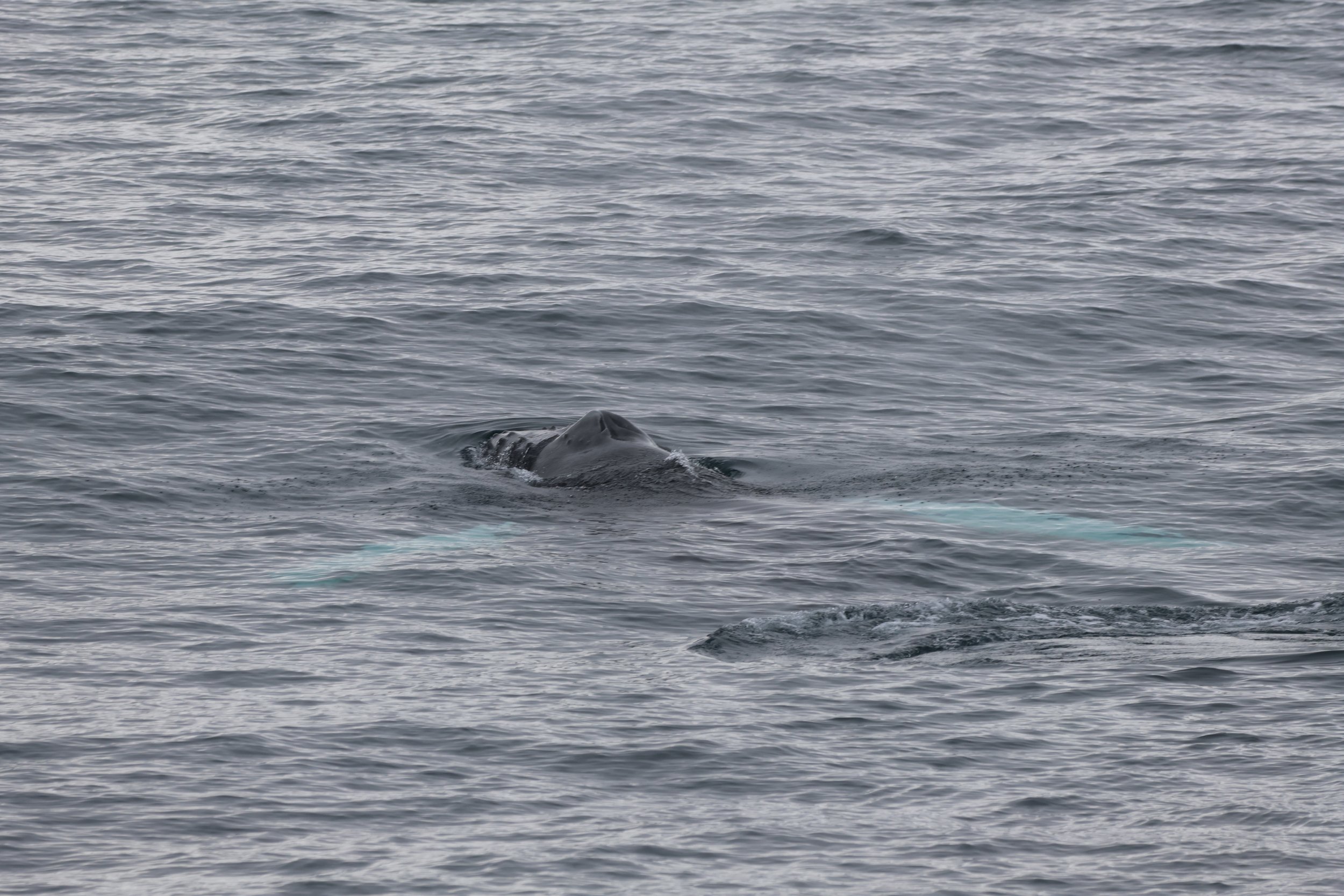 Tuesday, 22 April 2025