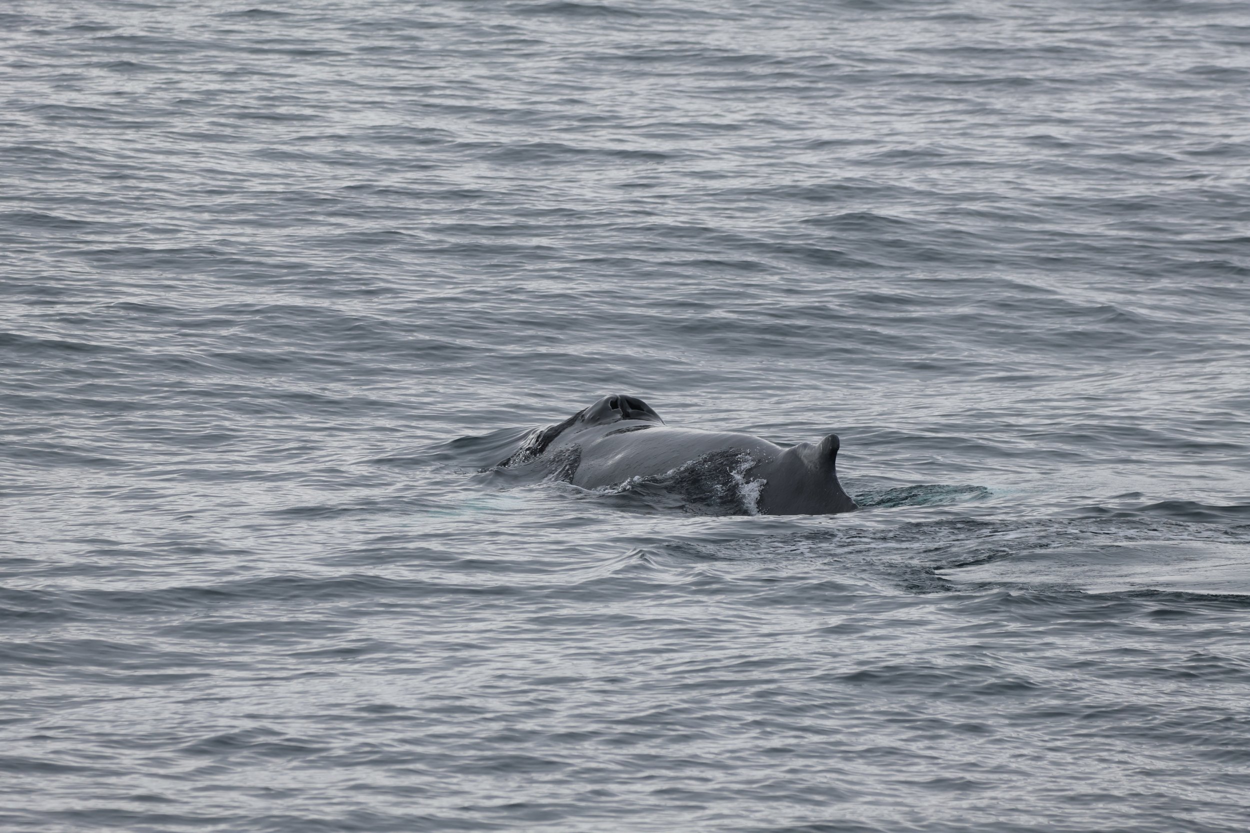 Tuesday, 22 April 2025