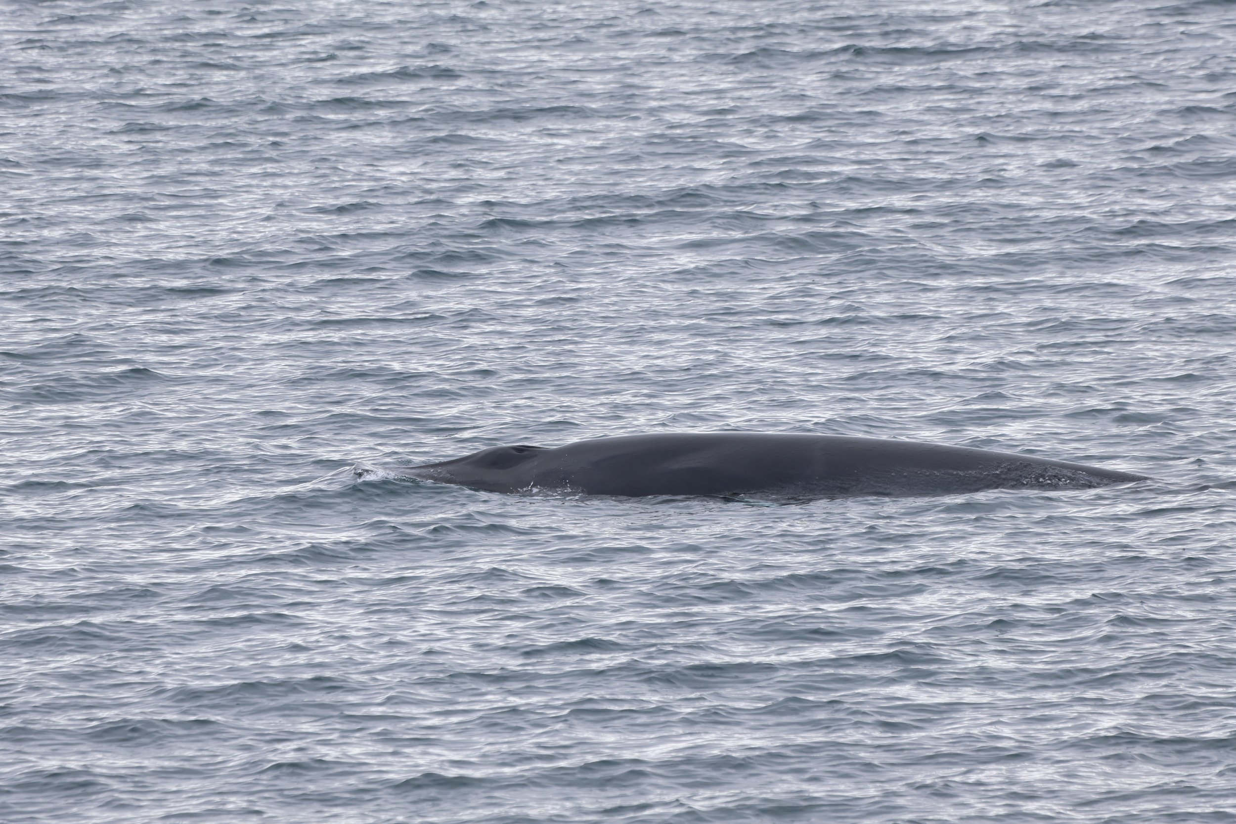 Tuesday, 22 April 2025