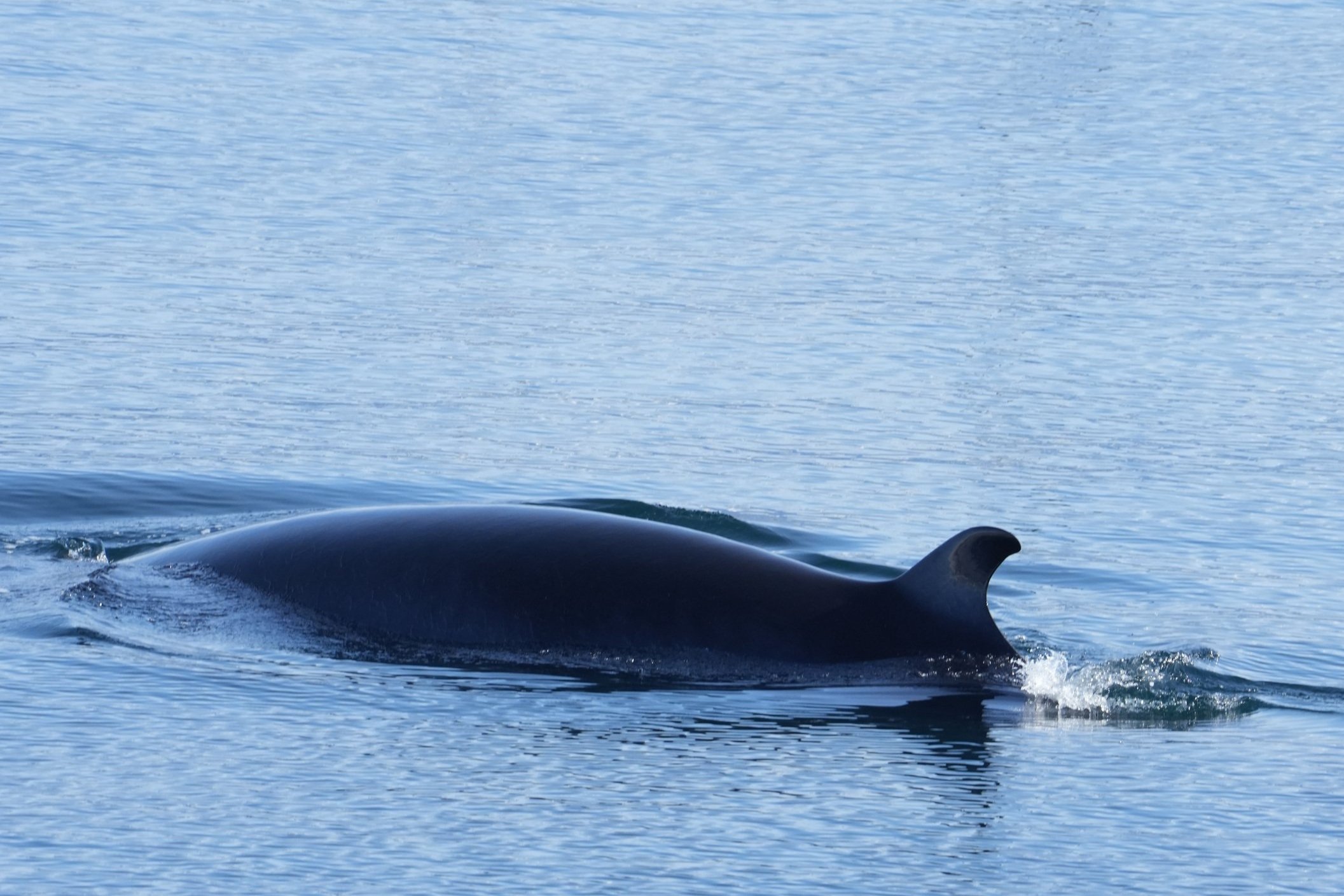 Wednesday, 23 April 2025