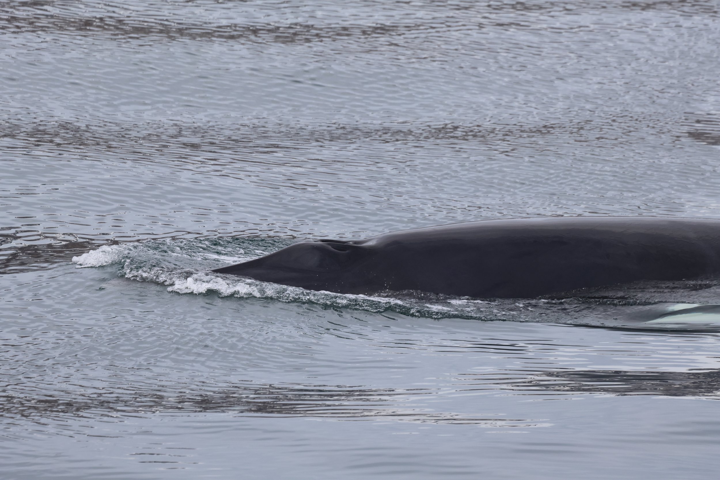 Wednesday, 30 April 2025