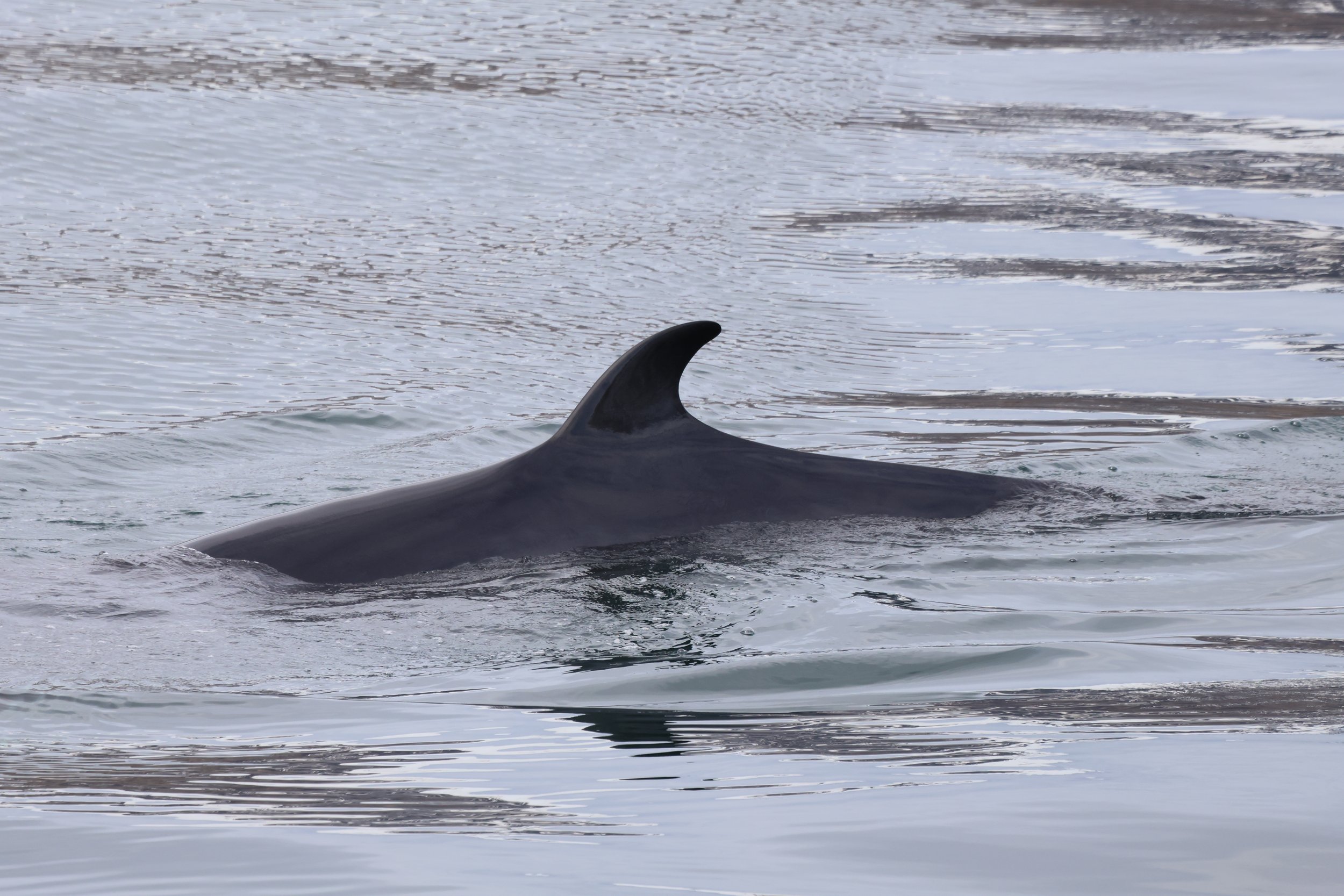 Wednesday, 30 April 2025