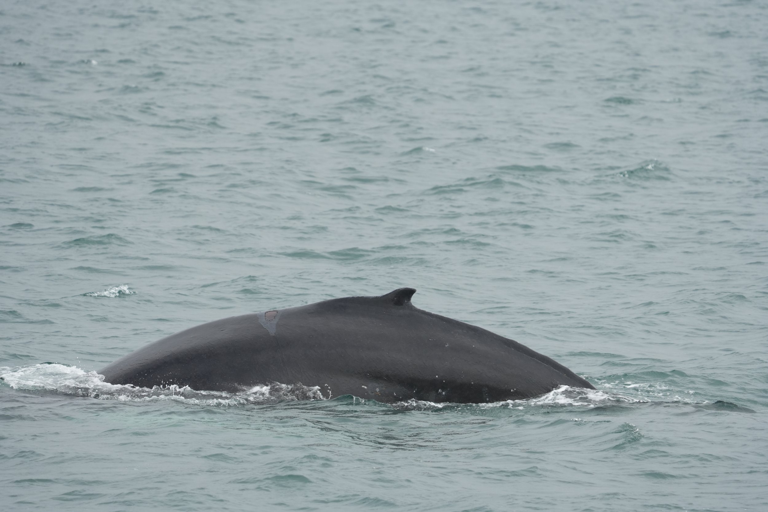 Monday, 2 June 2025