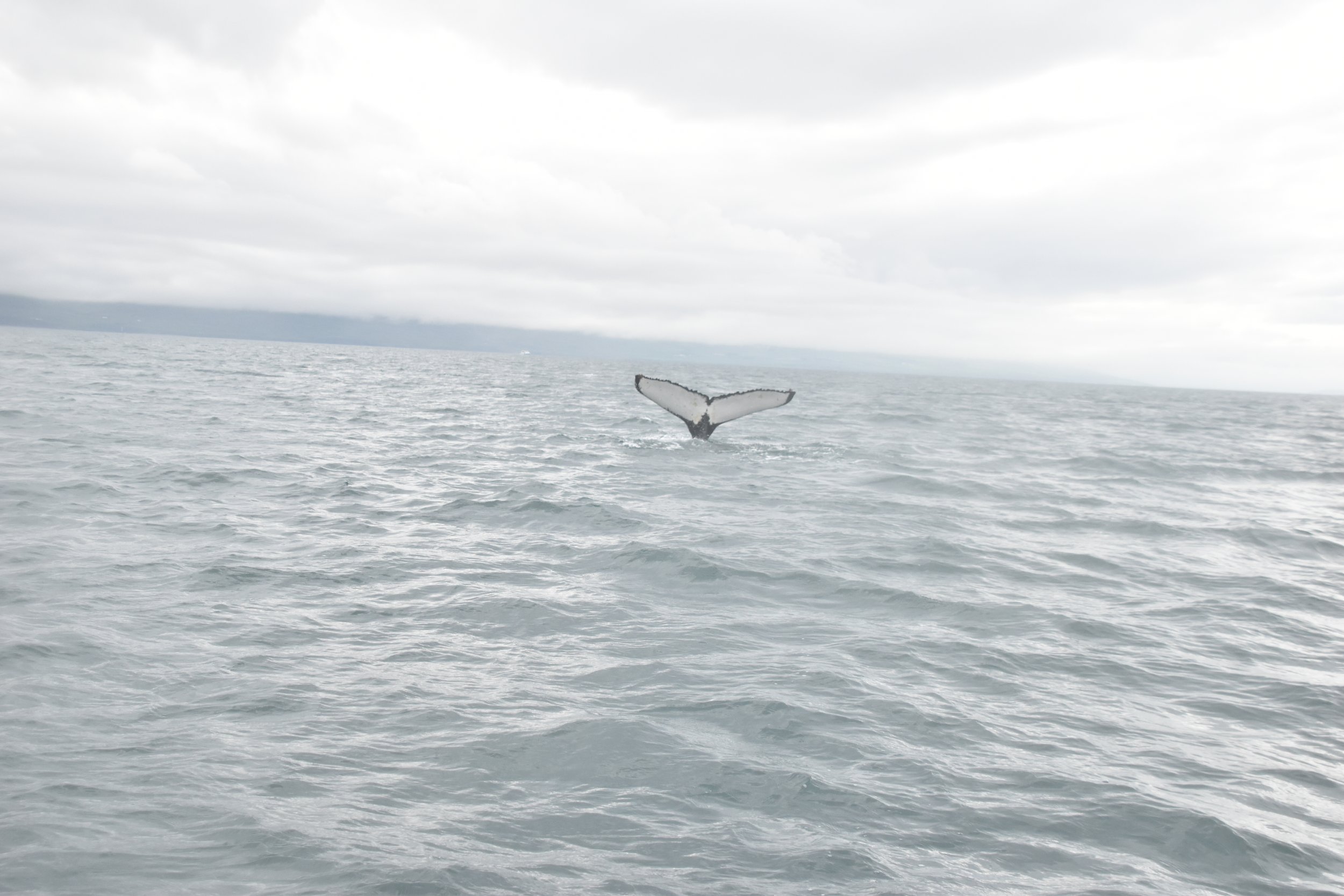 Thursday, 19 June 2025