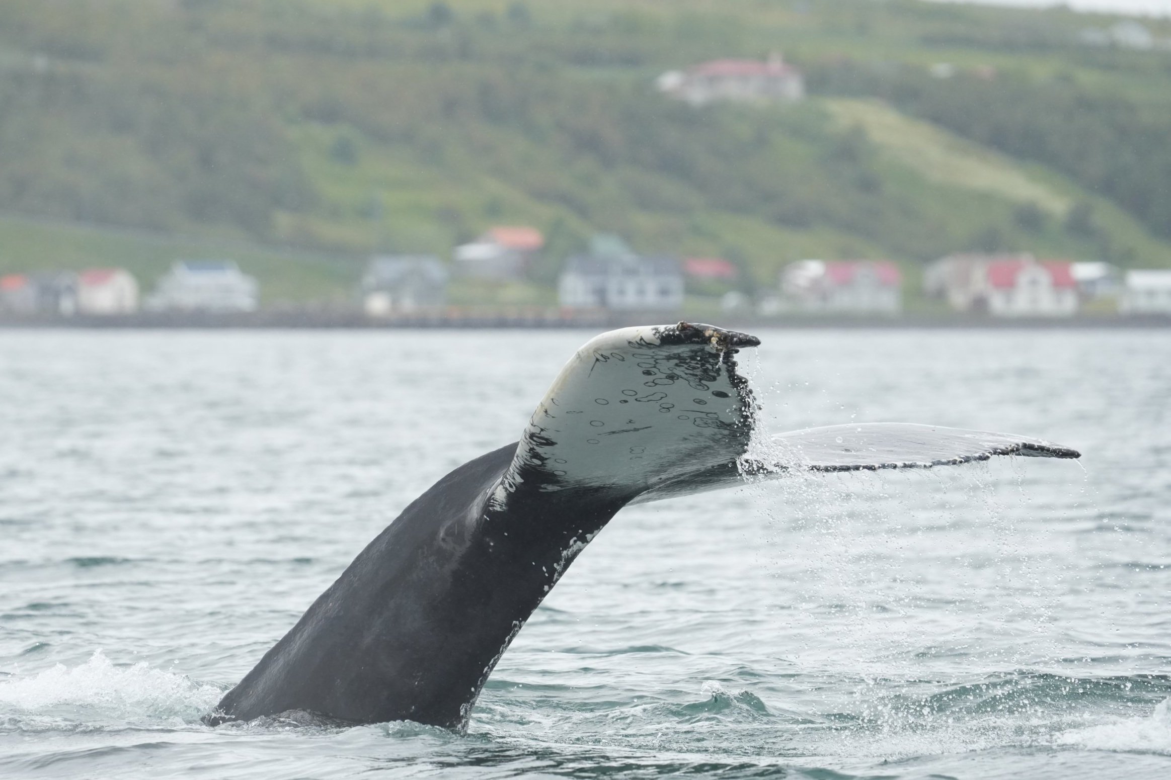 Monday, 23 June 2025
