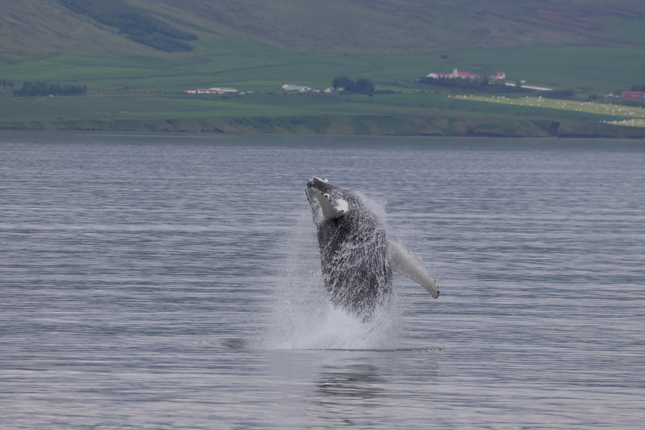 Tuesday, 24 June 2025