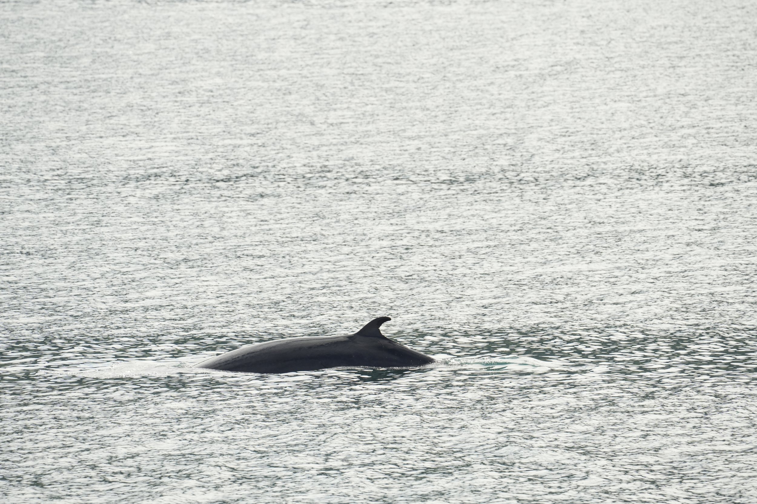 Thursday, 3 July 2025