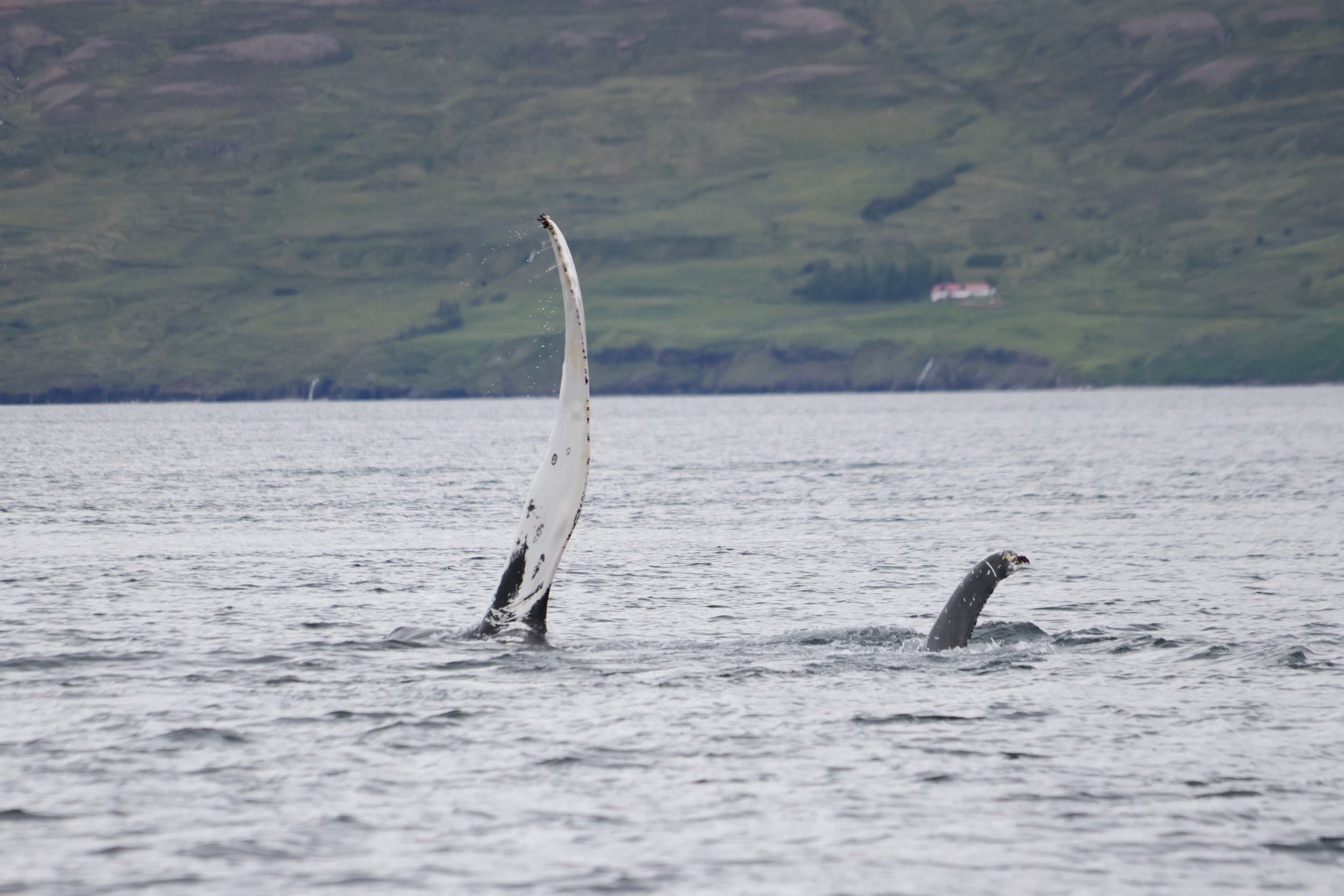 Thursday, 3 July 2025