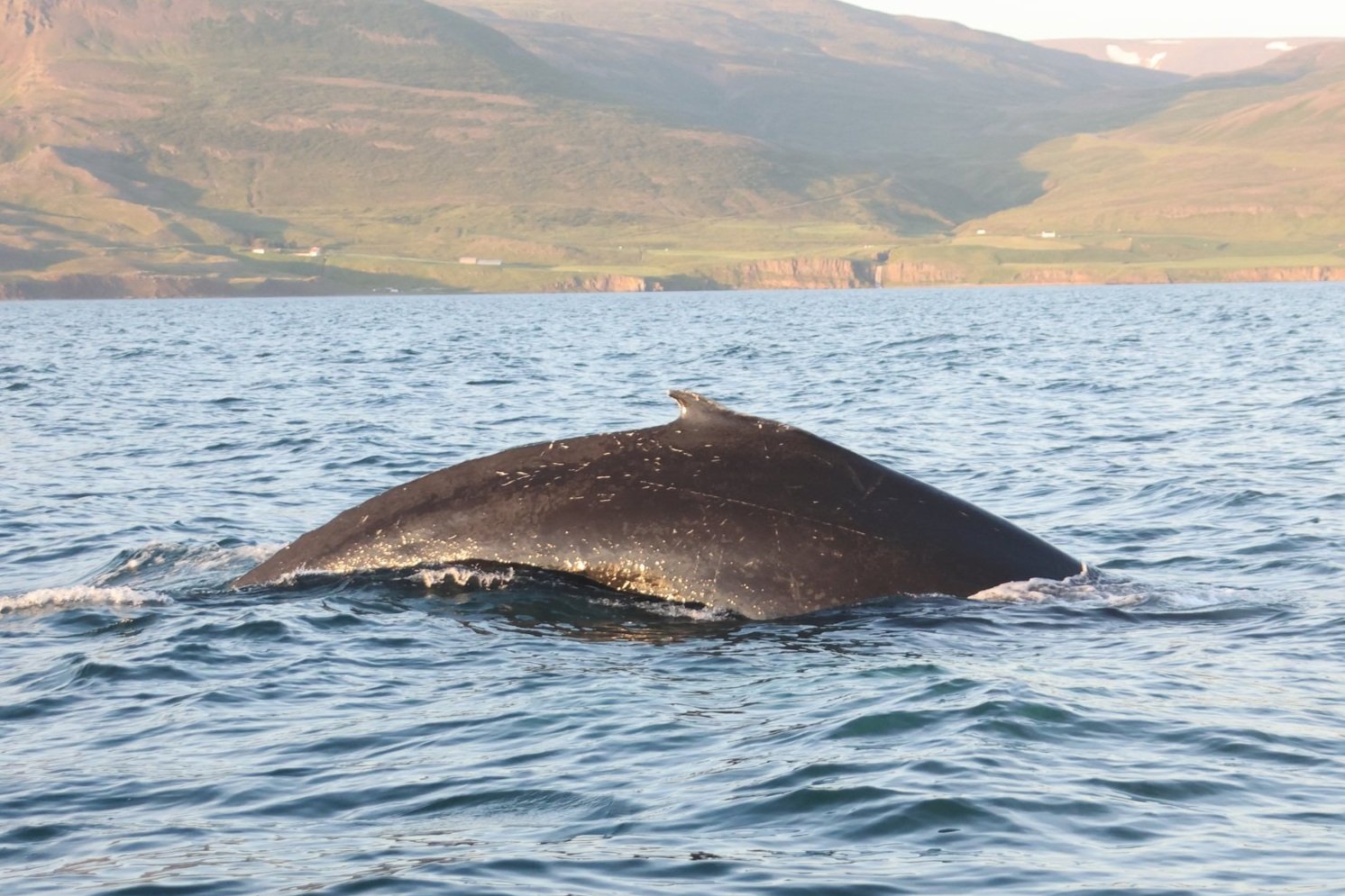Wednesday, 9 July 2025