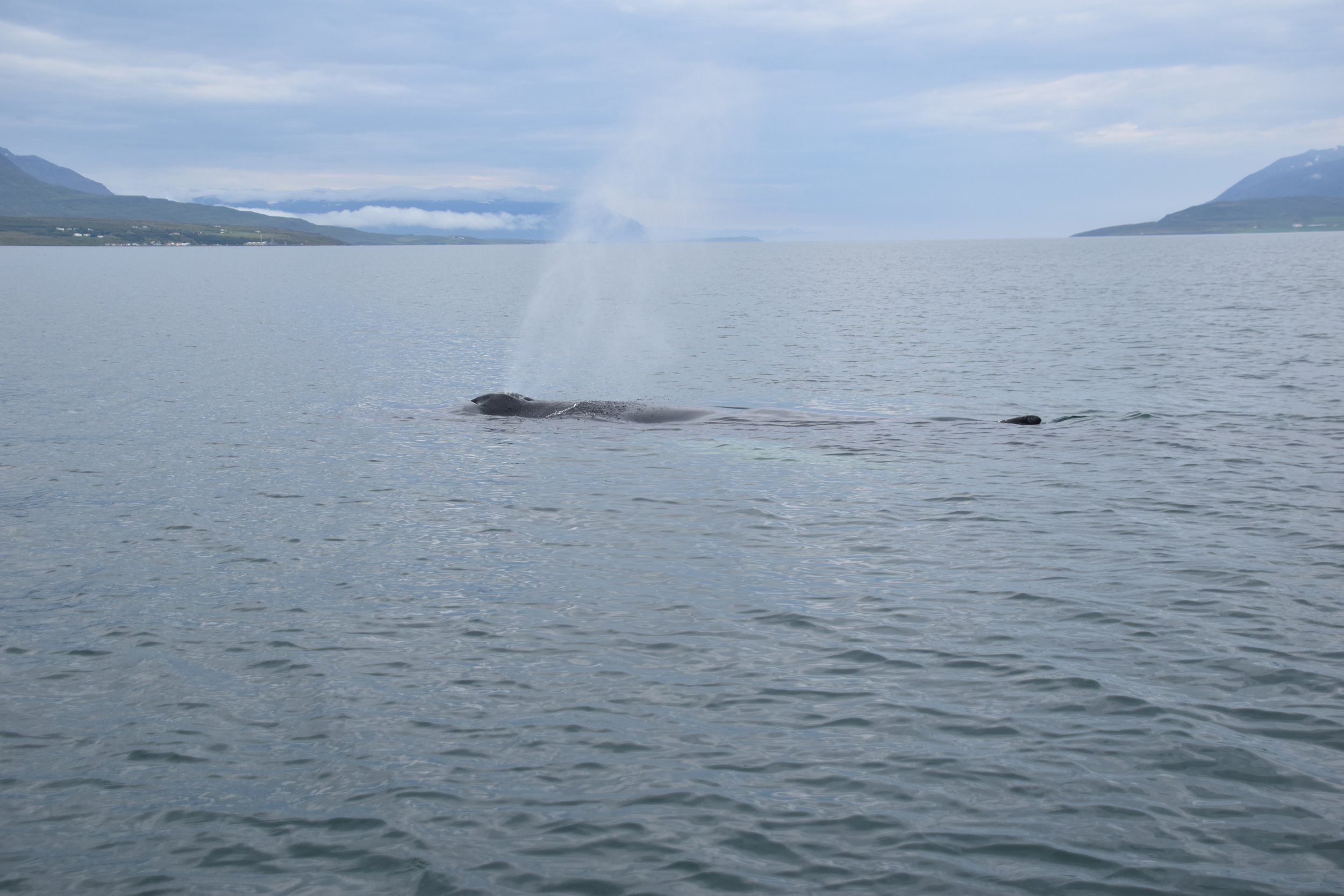Tuesday, 22 July 2025