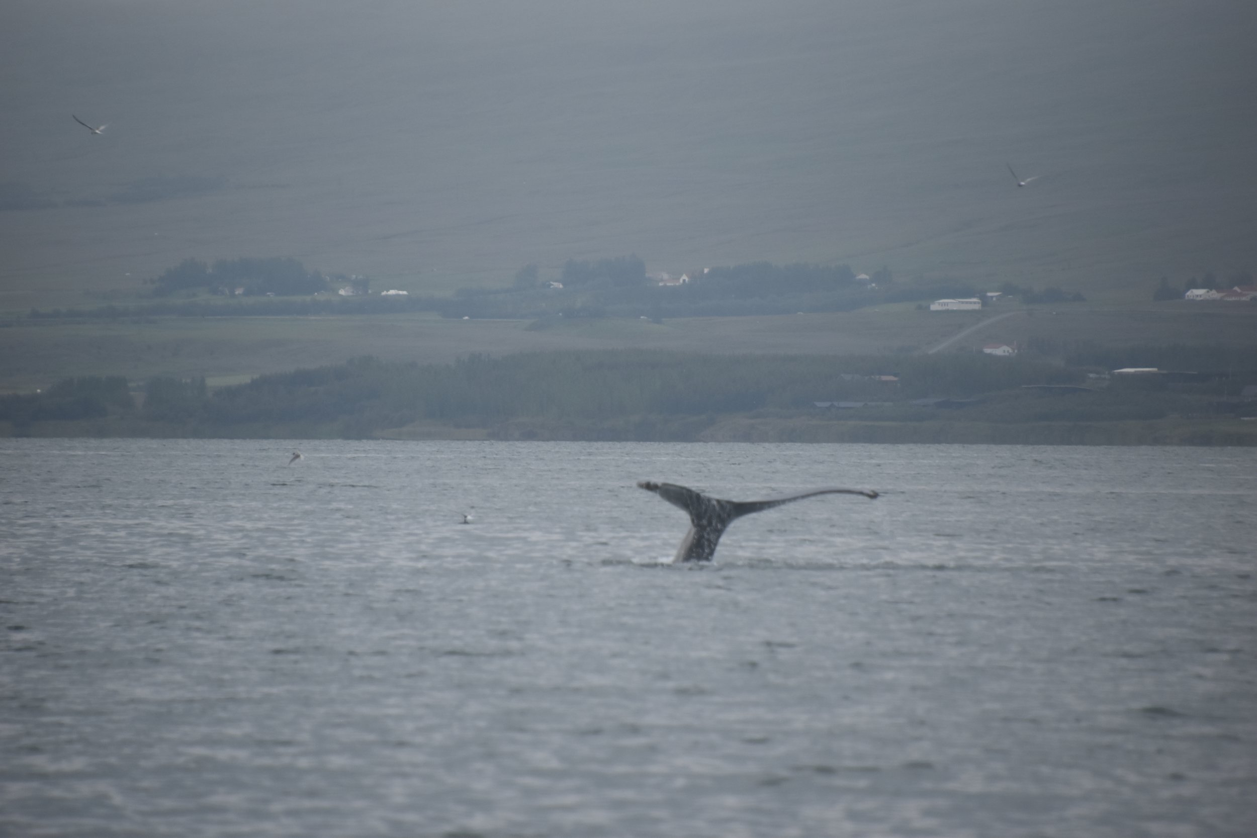 Thursday, 24 July 2025