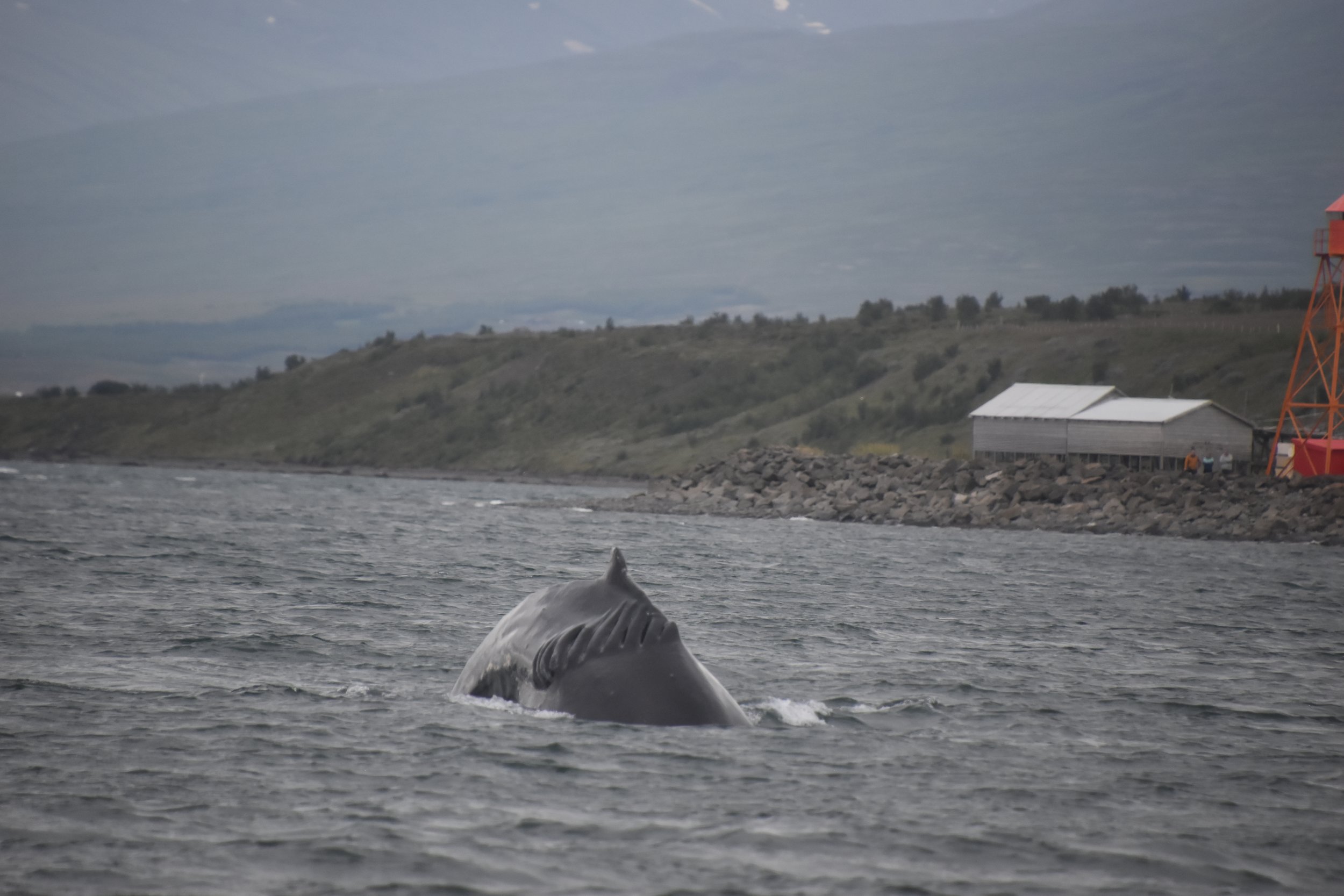 Thursday, 24 July 2025
