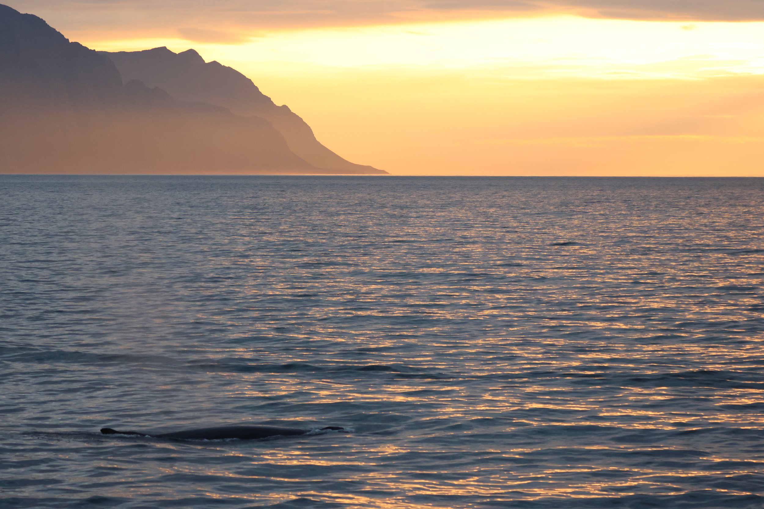 Thursday, 24 July 2025