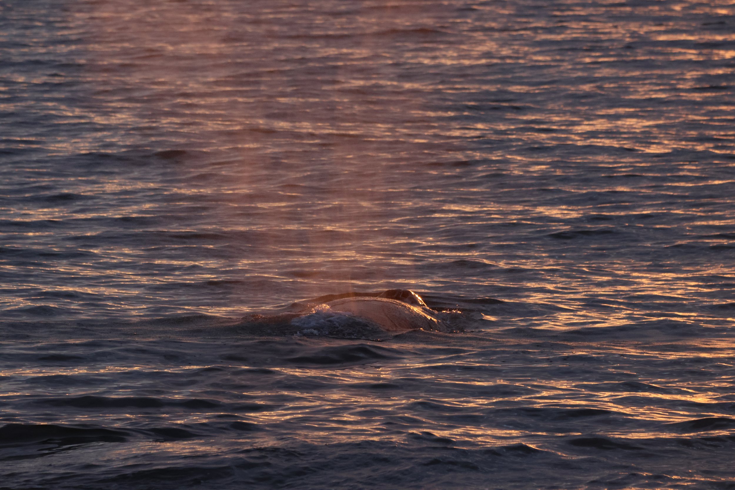 Thursday, 24 July 2025