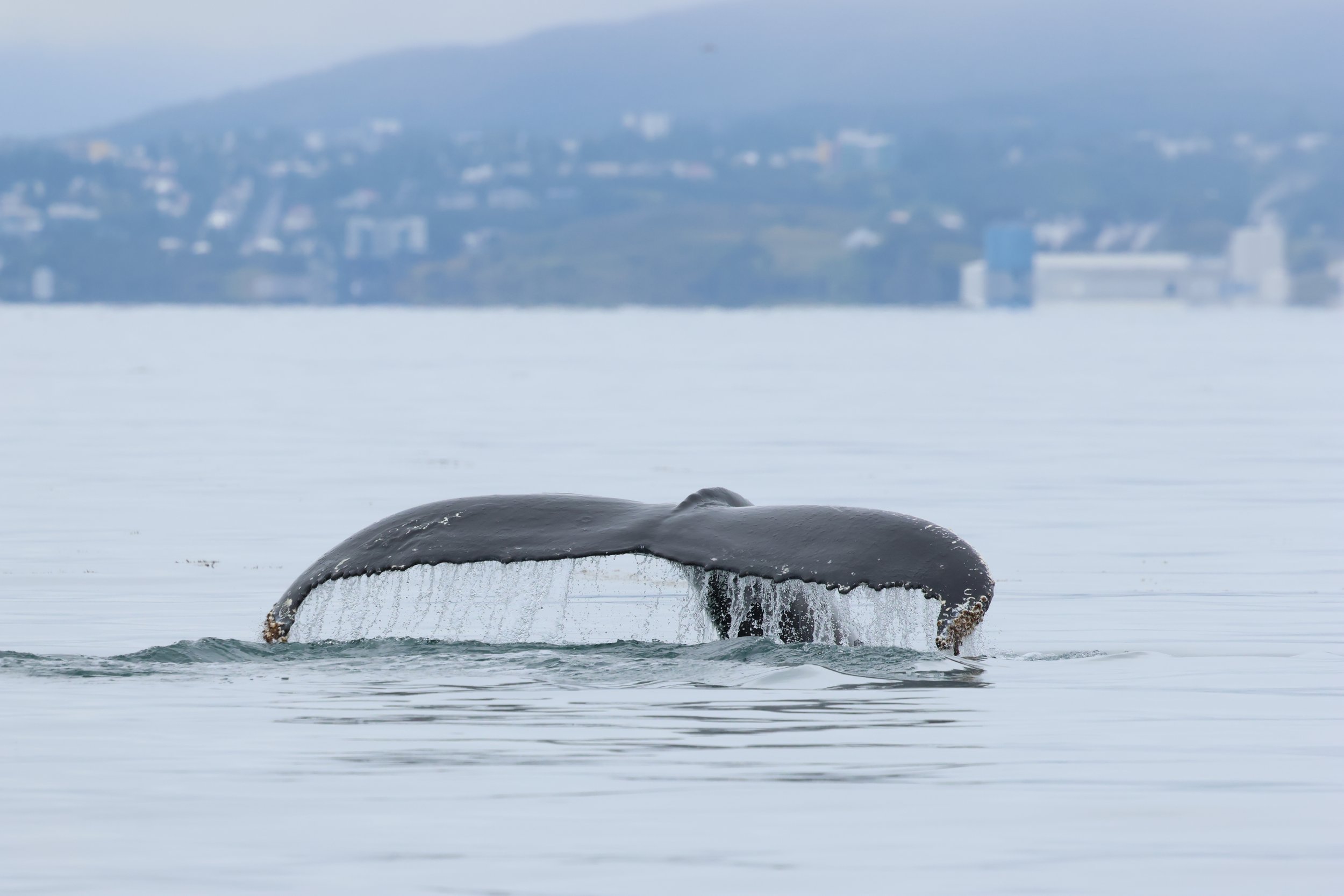 Wednesday, 20 th August 2025