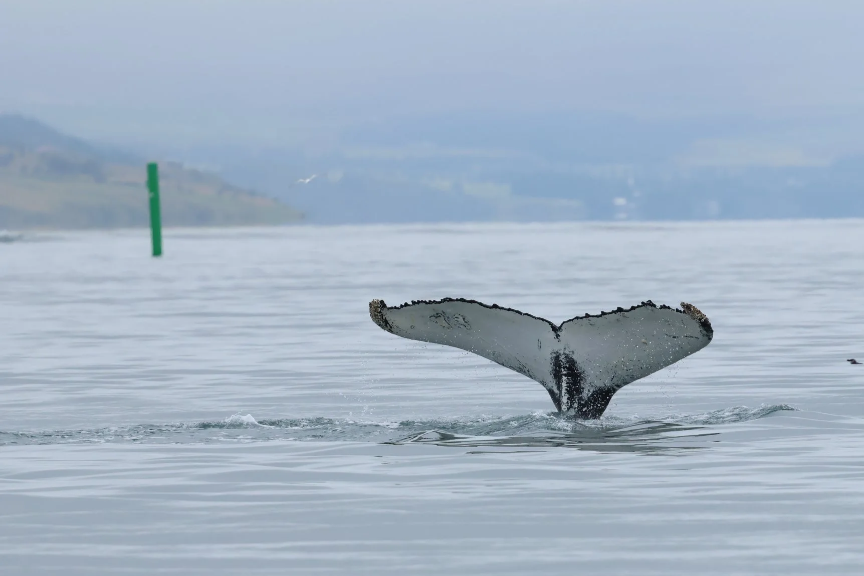 Wednesday, 20 th August 2025