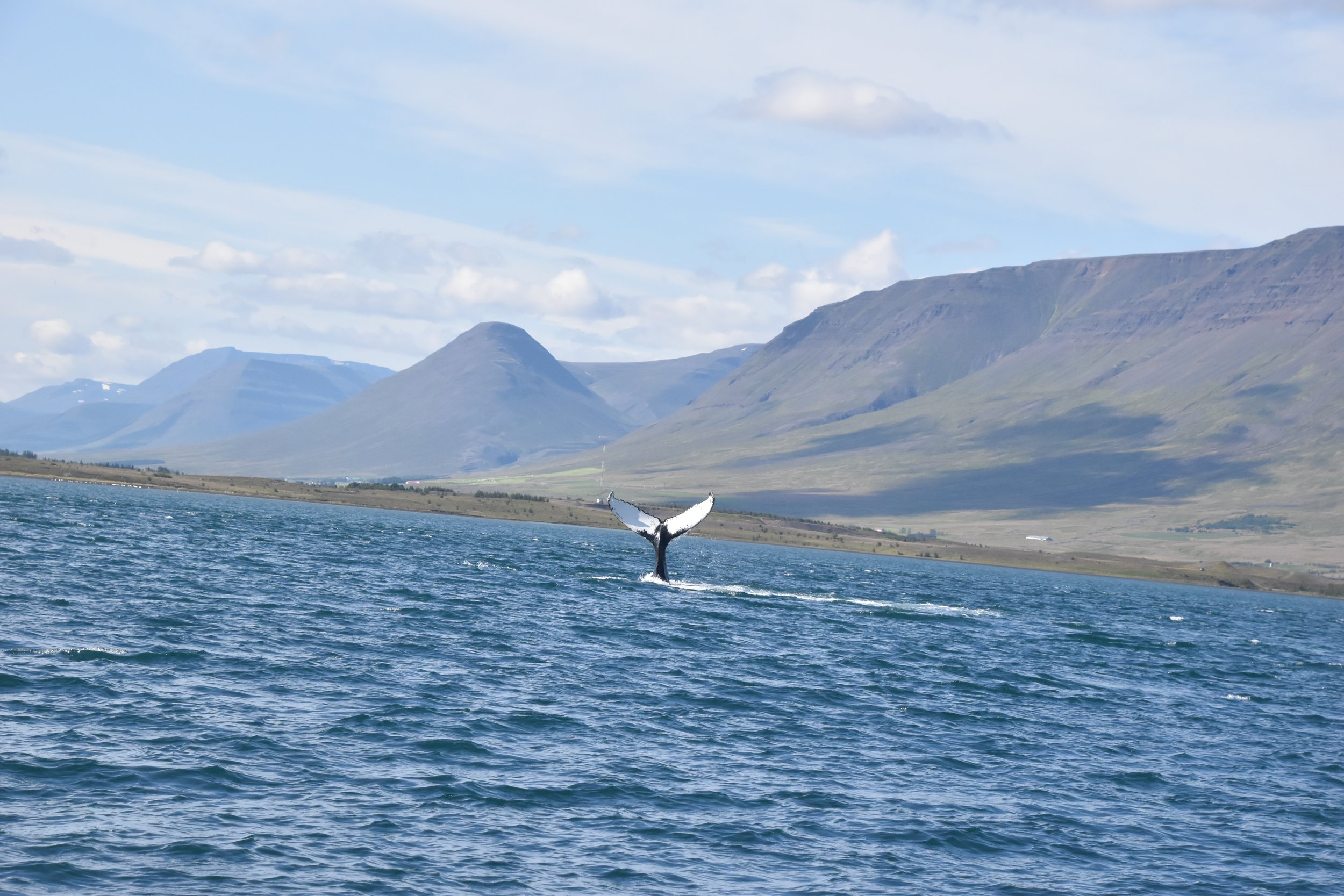 Tuesday, 5 August 2025