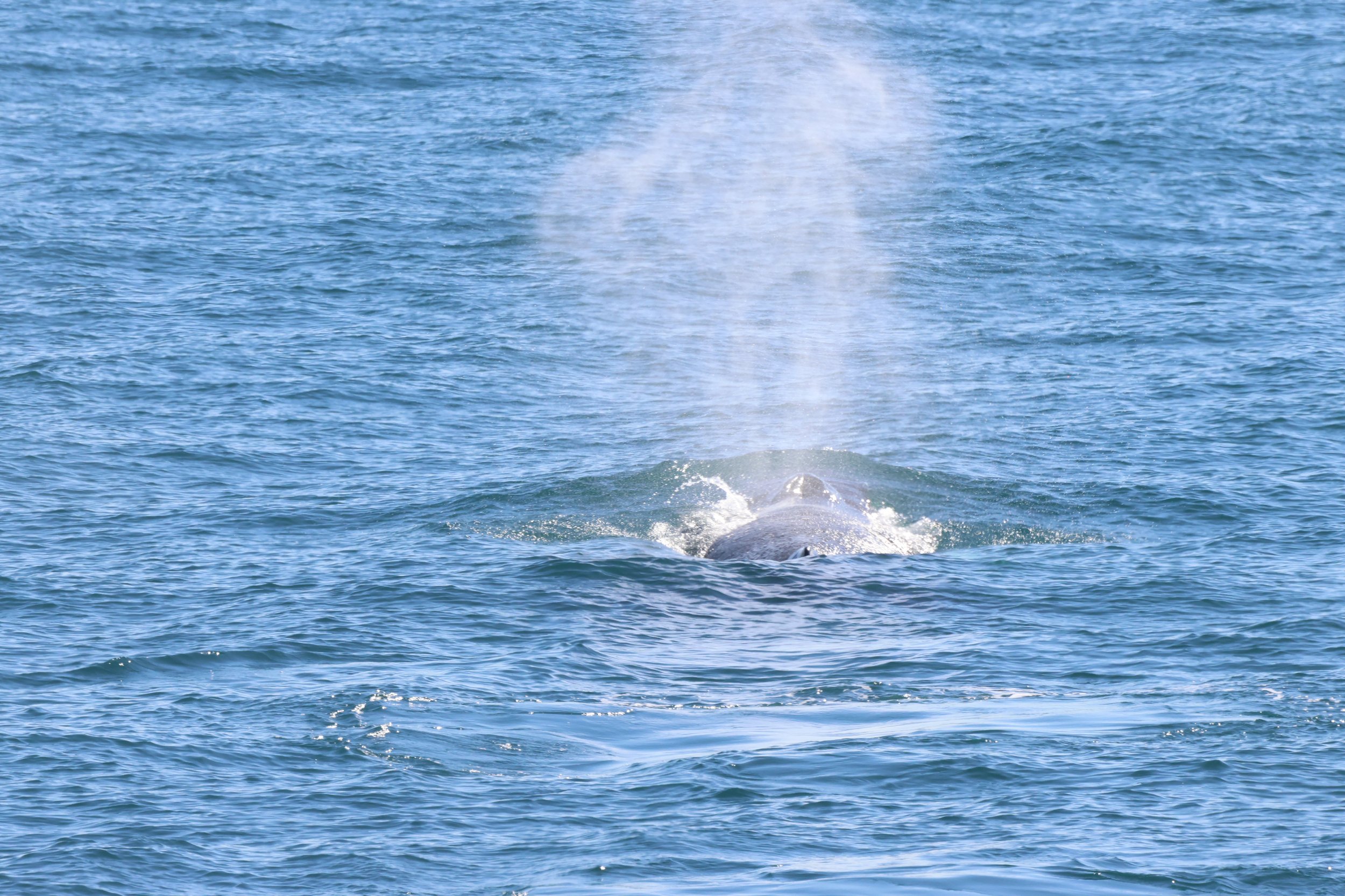 Saturday, 16 August 2025