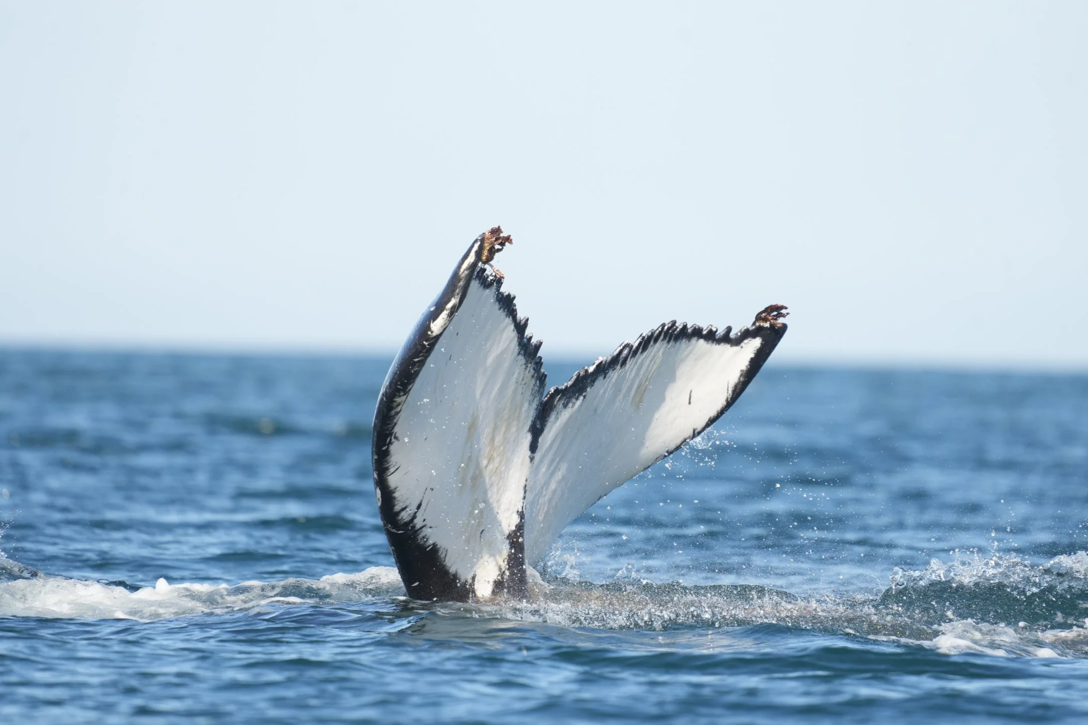Tuesday, 19th August 2025