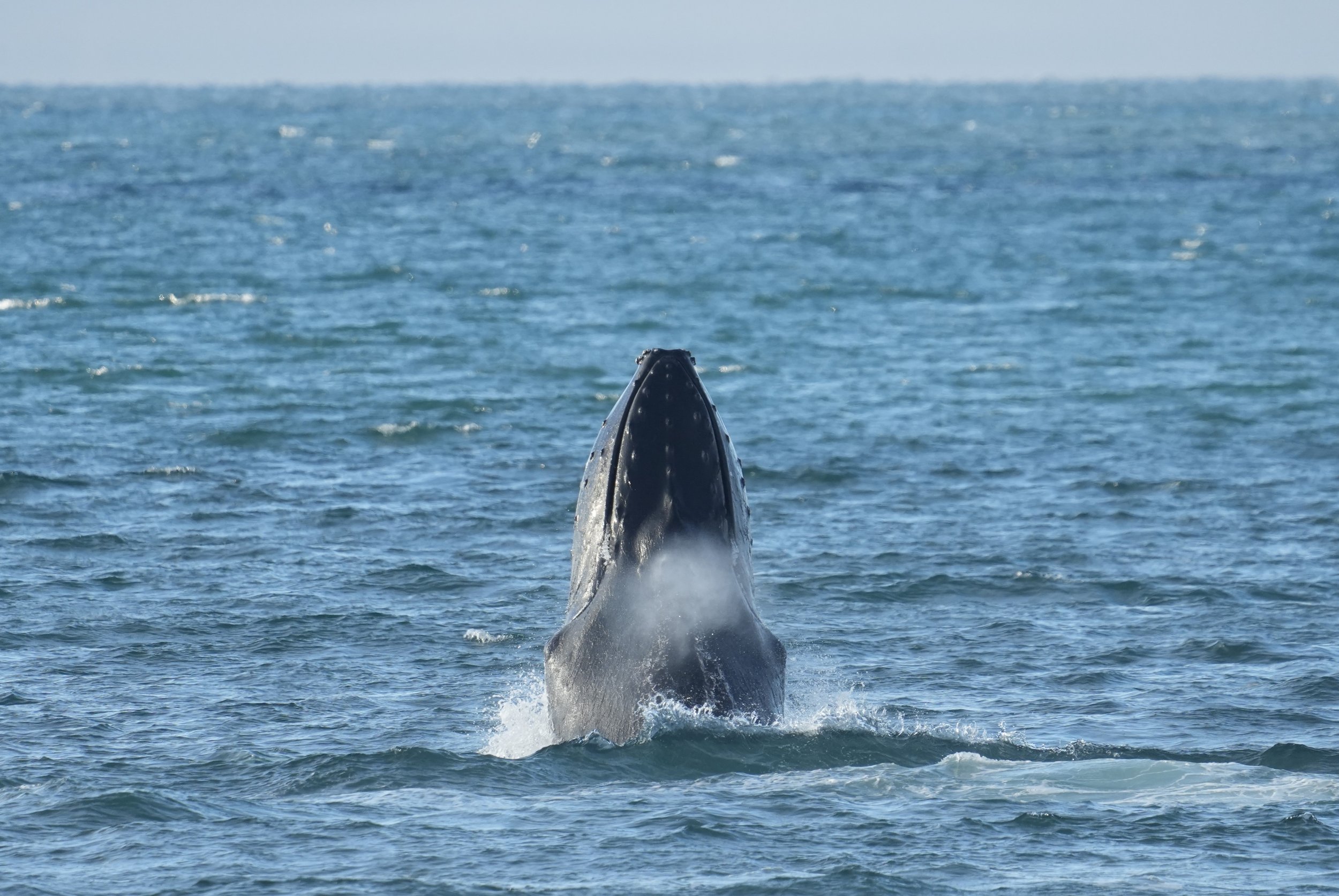 Wednesday, 20 th August 2025