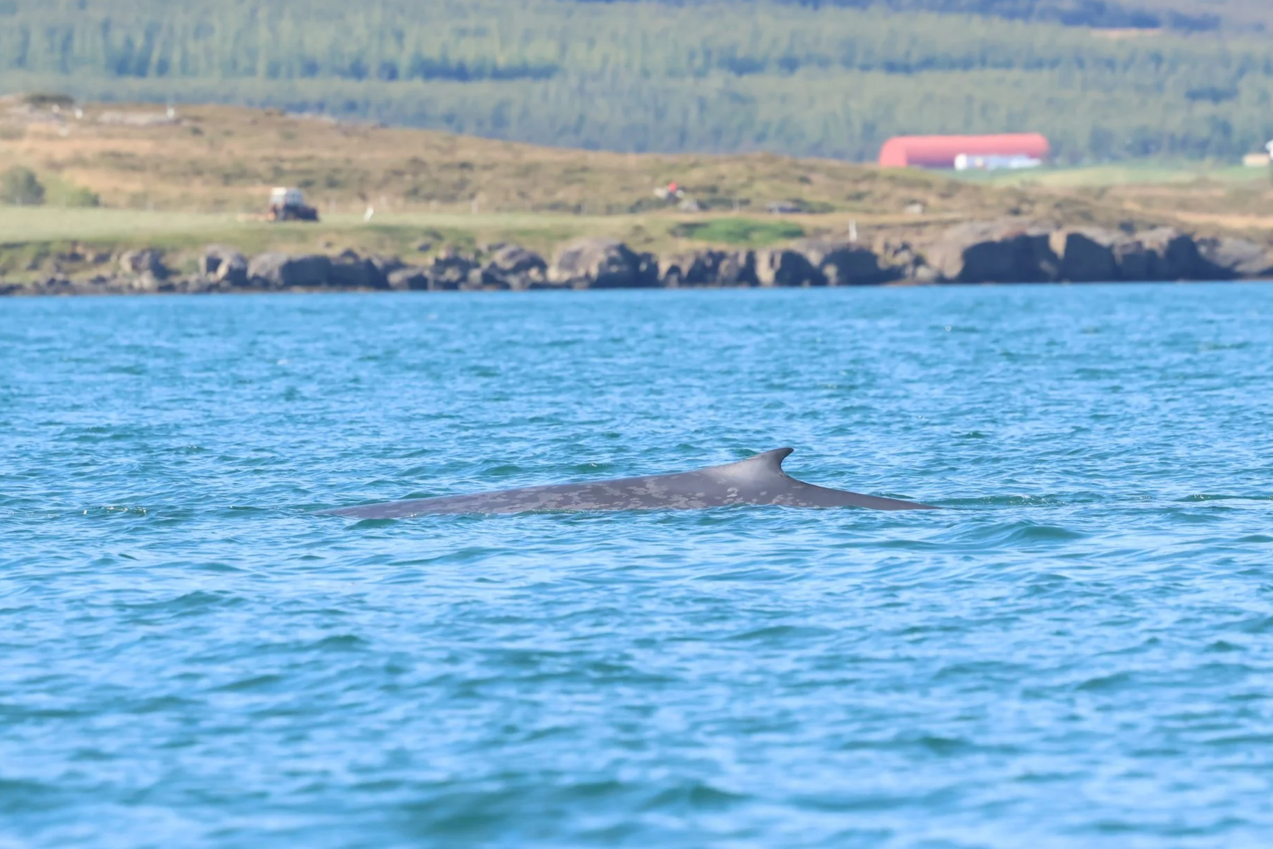 Saturday, 23th August 2025