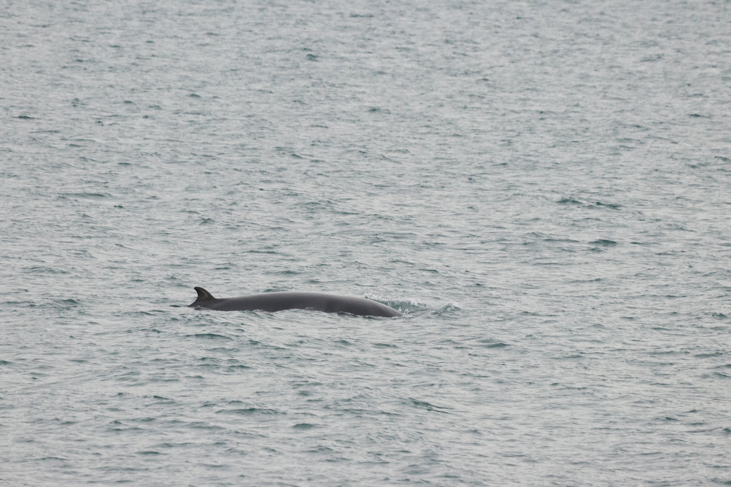 Sunday, 24th August 2025