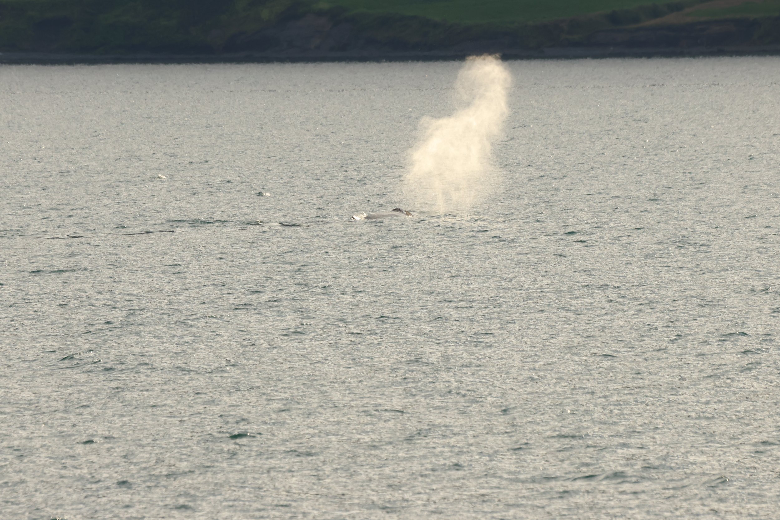 Sunday, 24th August 2025