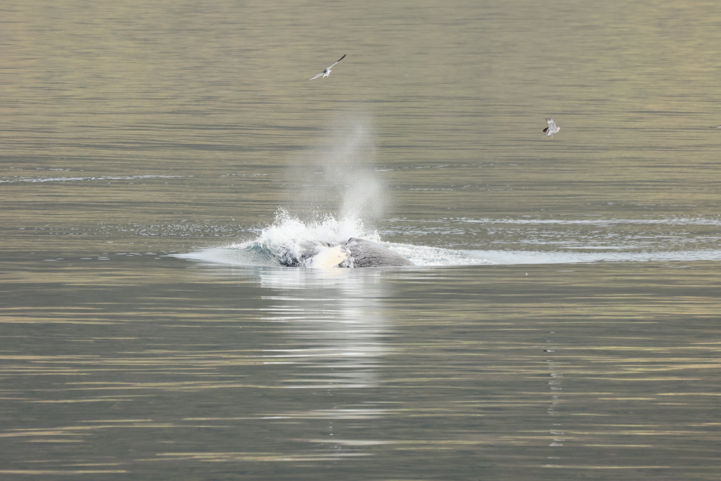 Monday, 25th August 2025