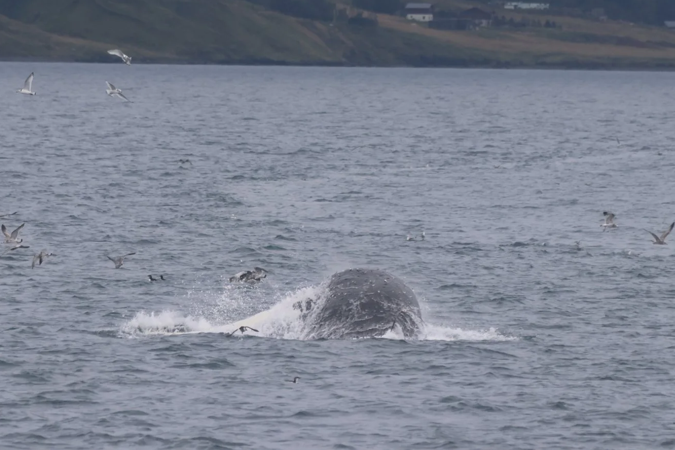Friday, 29th August 2025