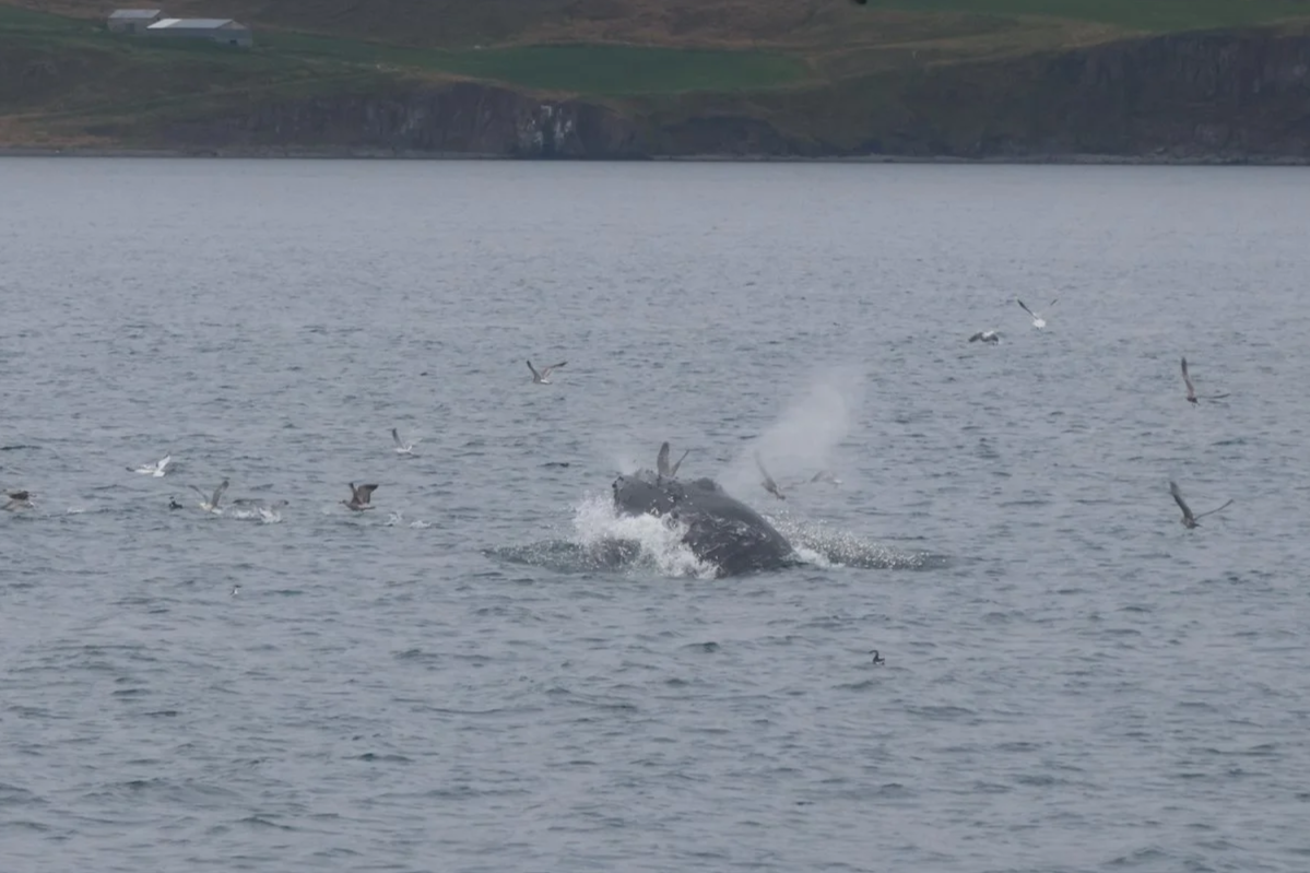 Friday, 29th August 2025