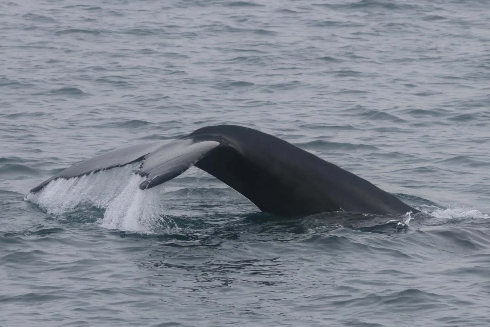 Friday, 29th August 2025