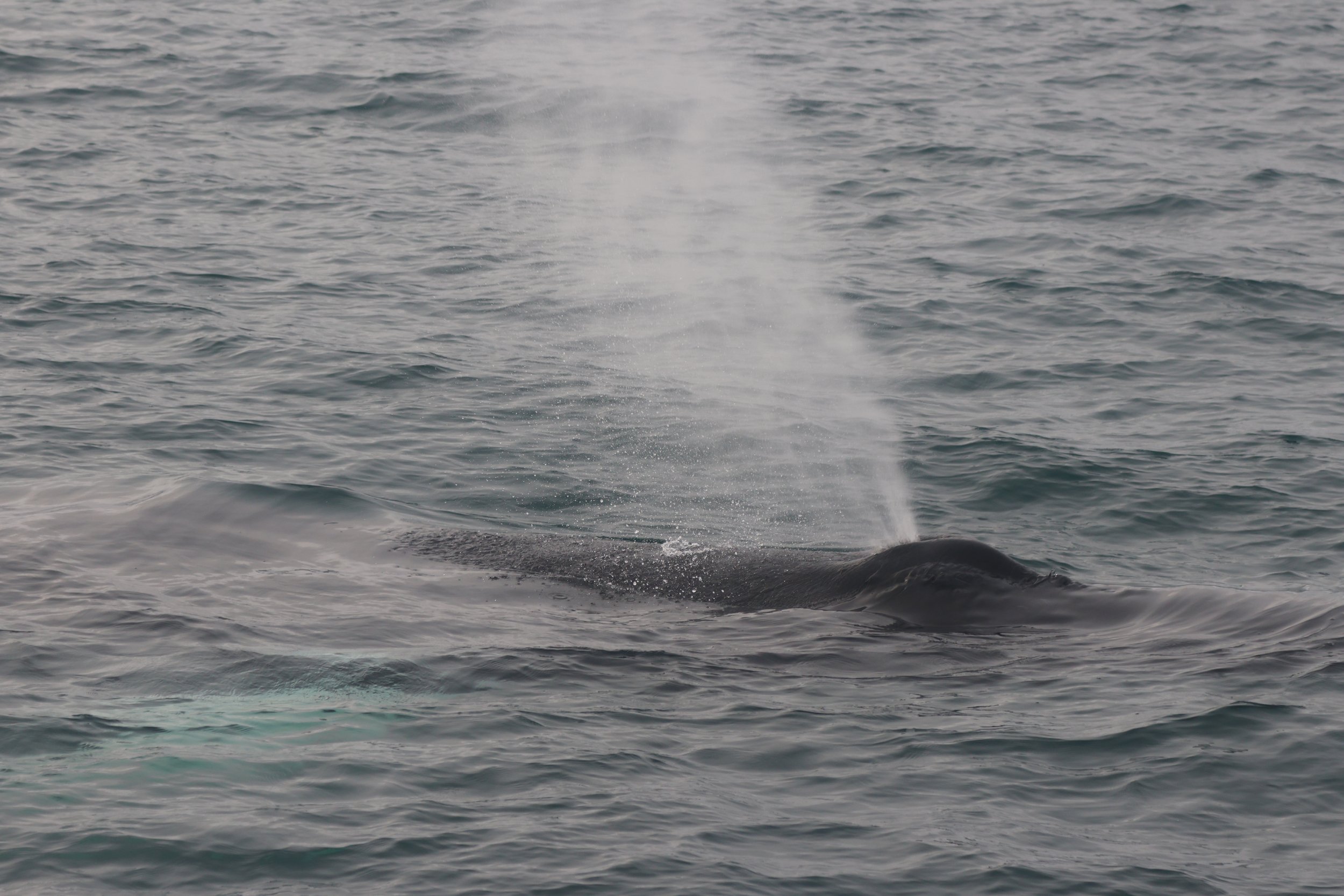 Friday, 29th August 2025