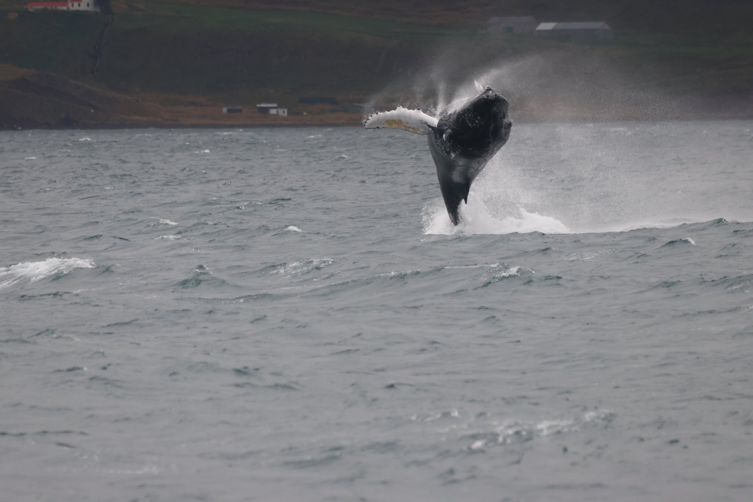 Sunday, 31st August 2025