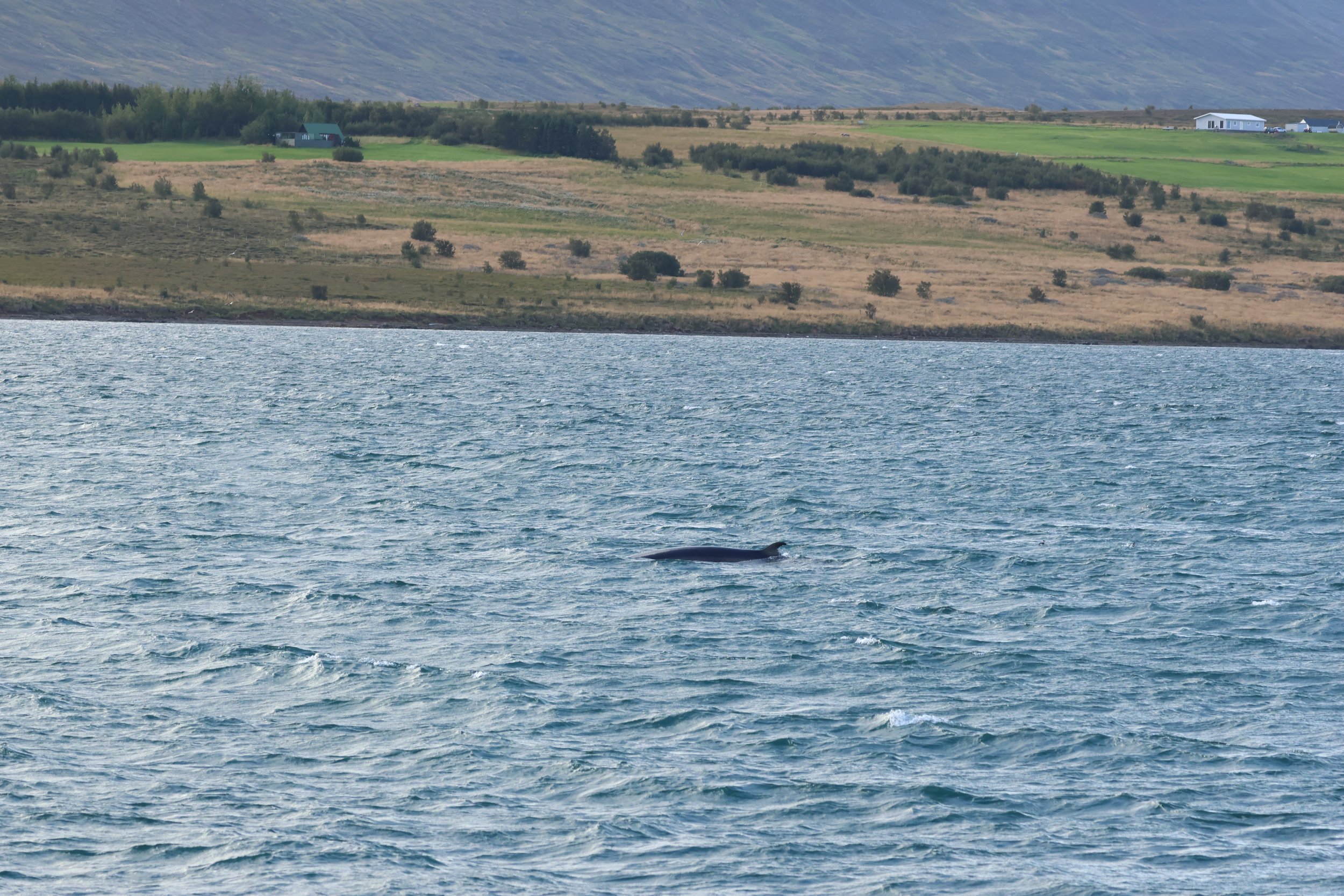Monday, 1st September 2025