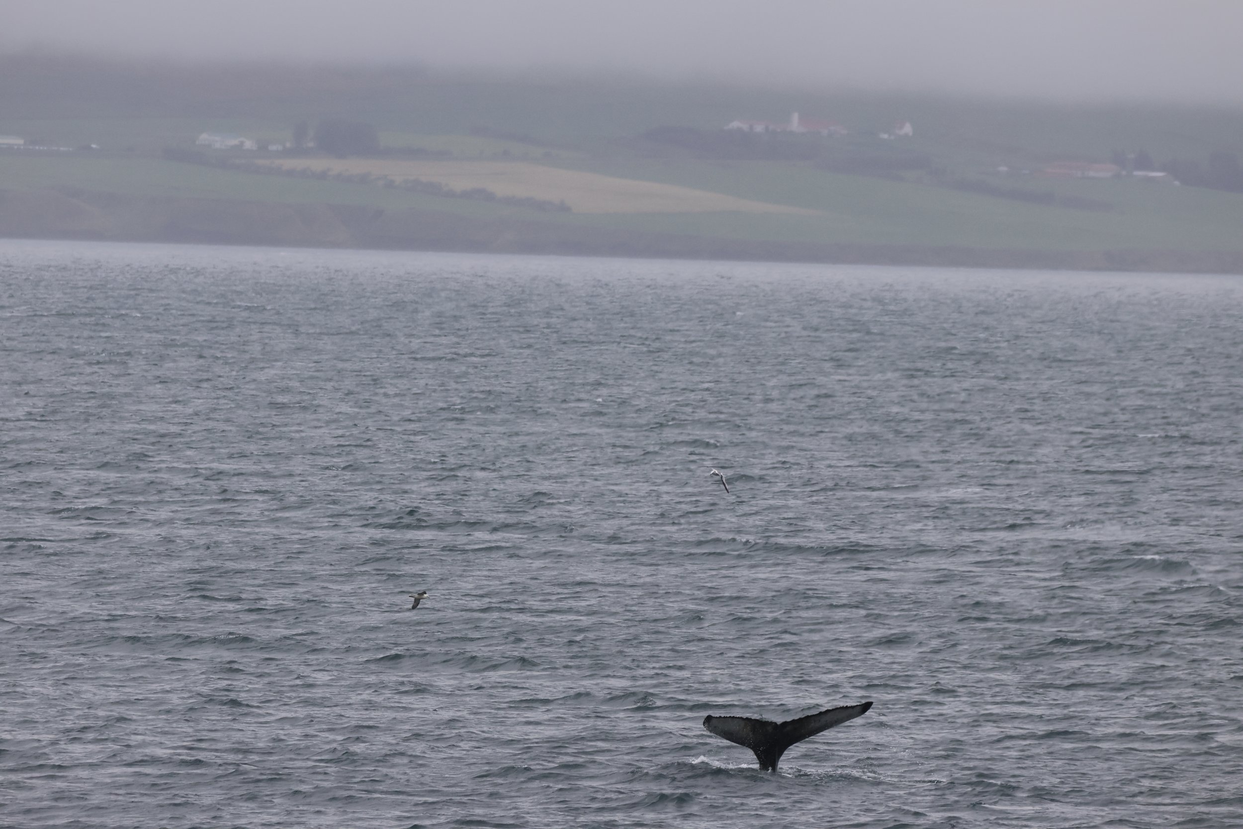 Tuesday, 2nd September 2025