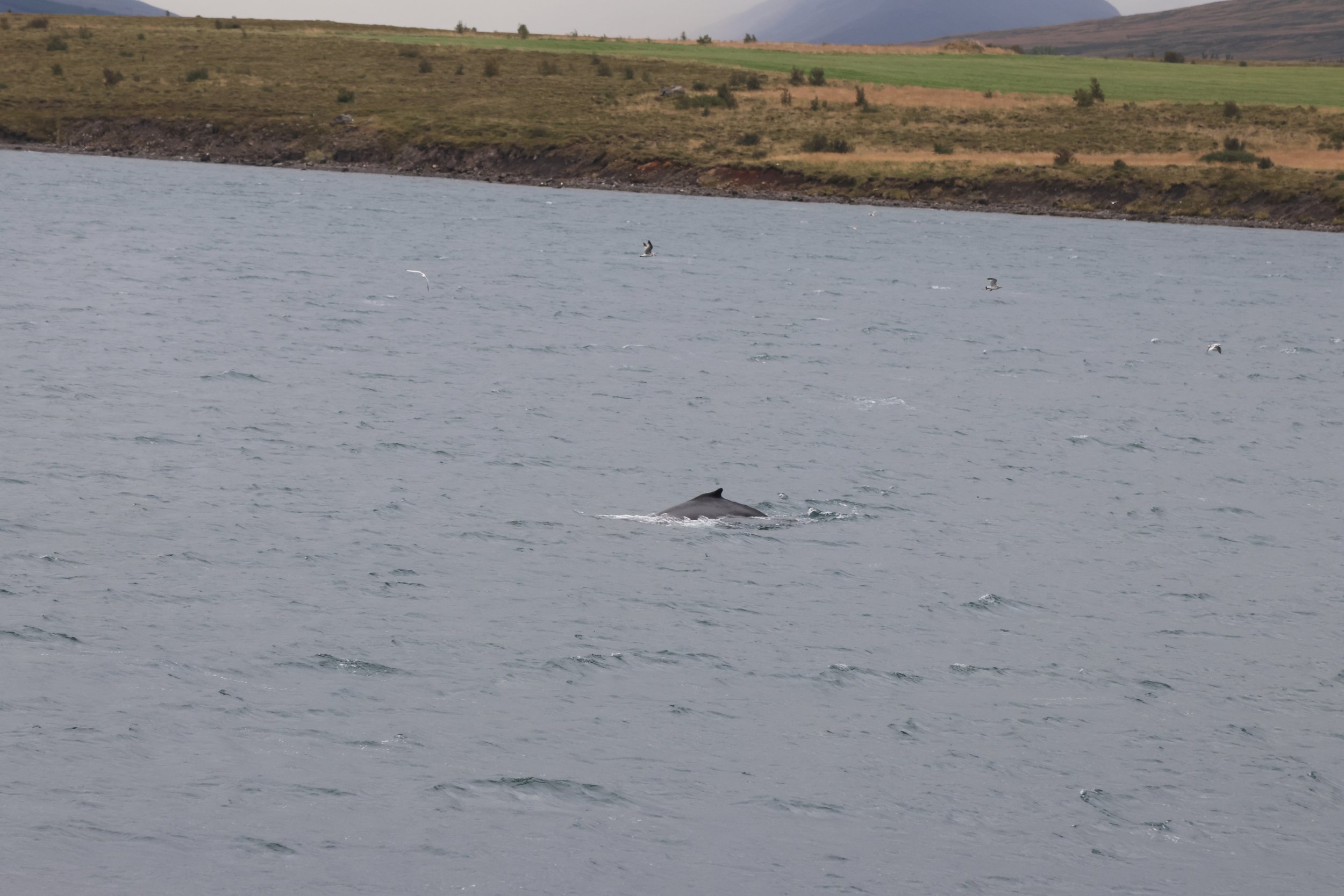 Tuesday, 2nd September 2025