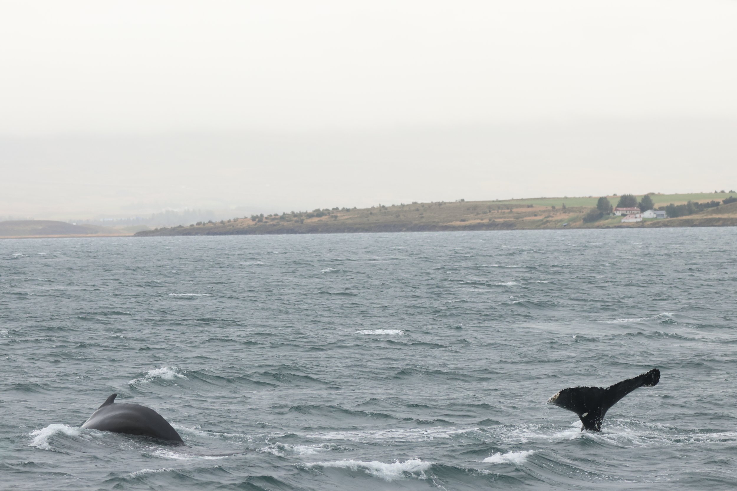 Wednesday, 3rd August 2025