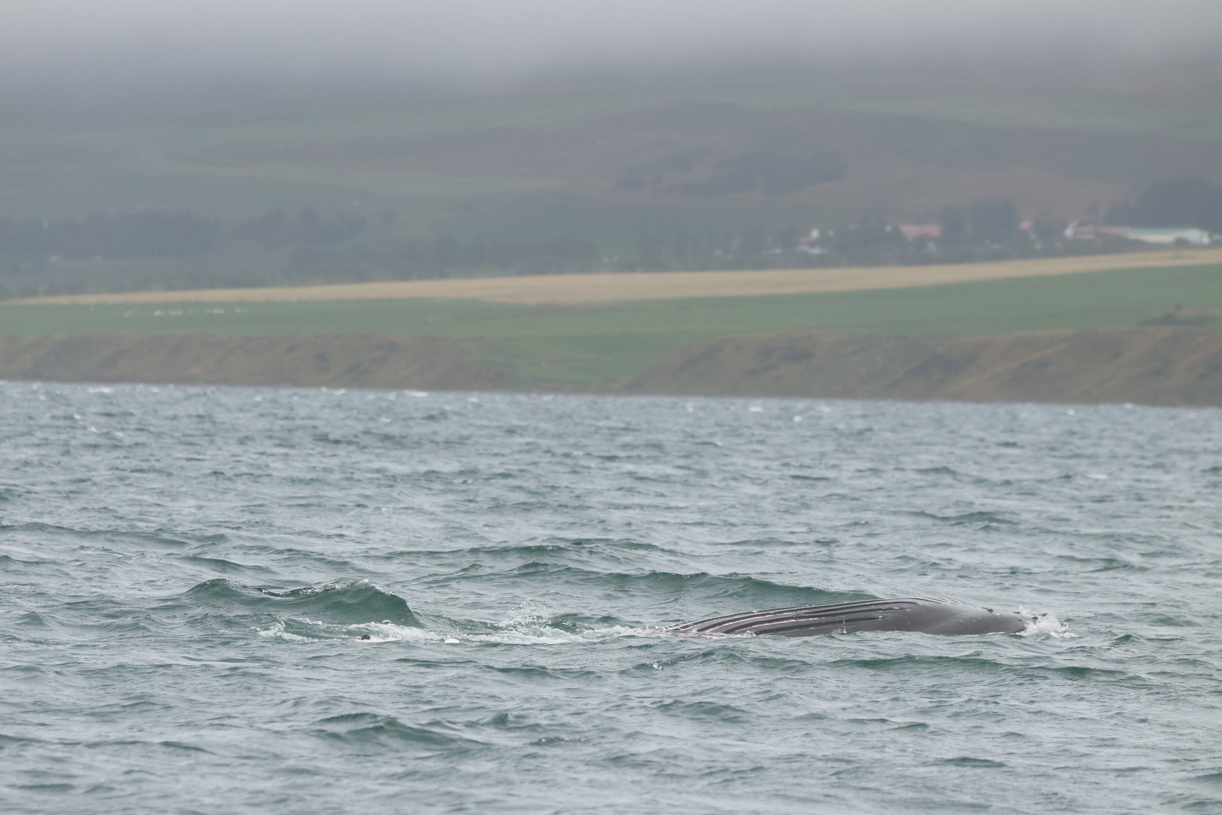 Wednesday, 3rd August 2025