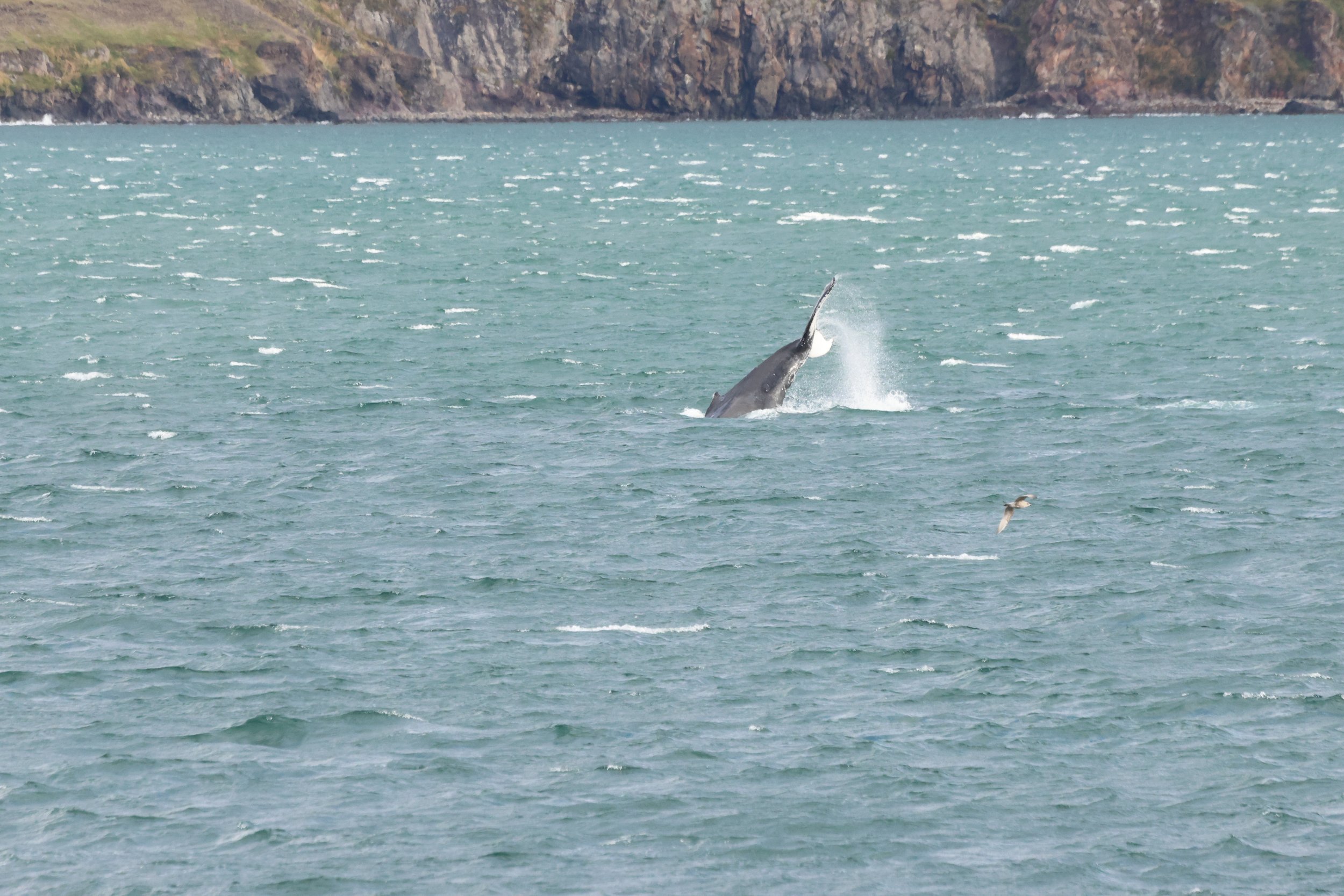 Monday, 8th September 2025