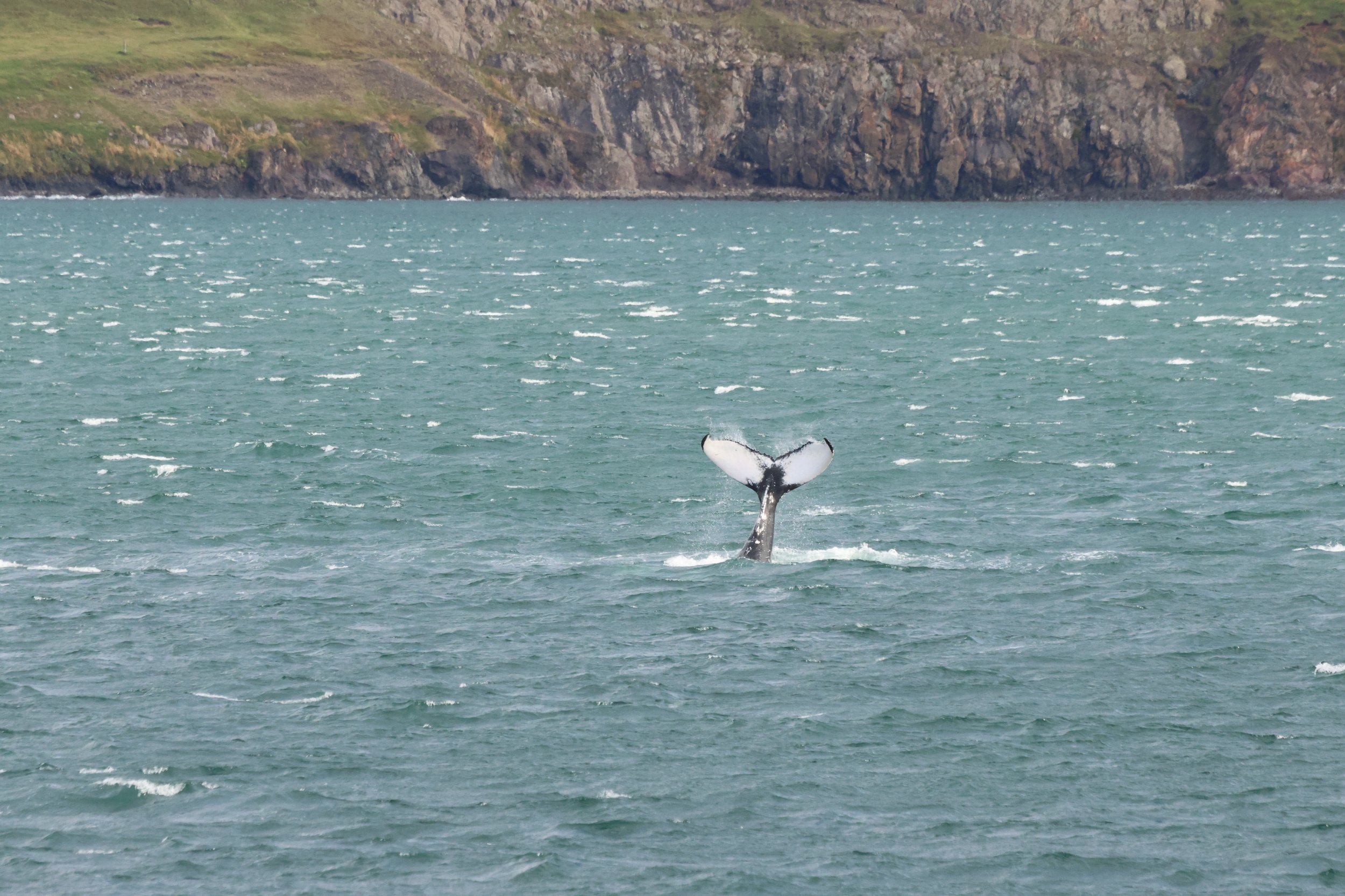 Monday, 8th September 2025