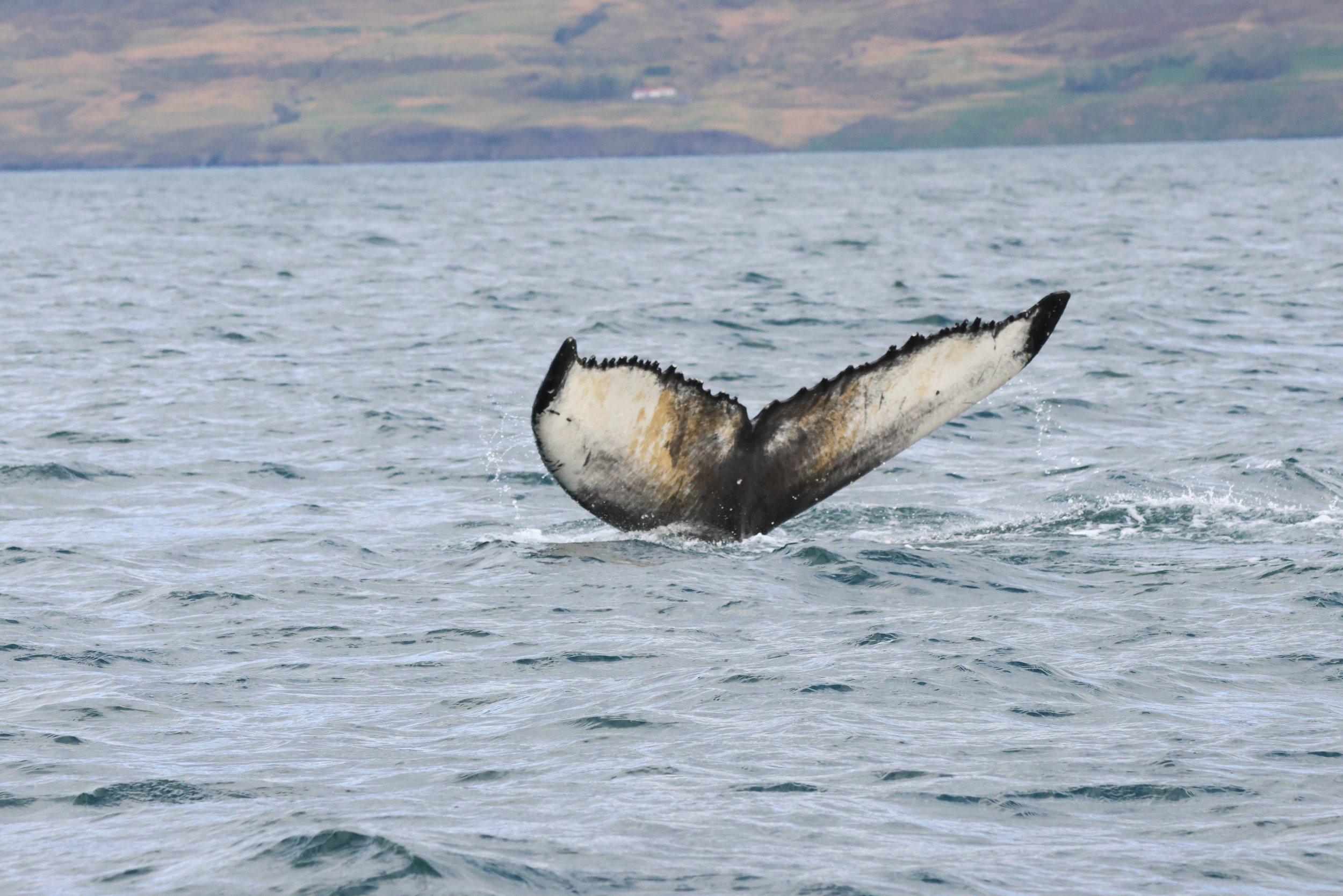 Tuesday, 9th September 2025