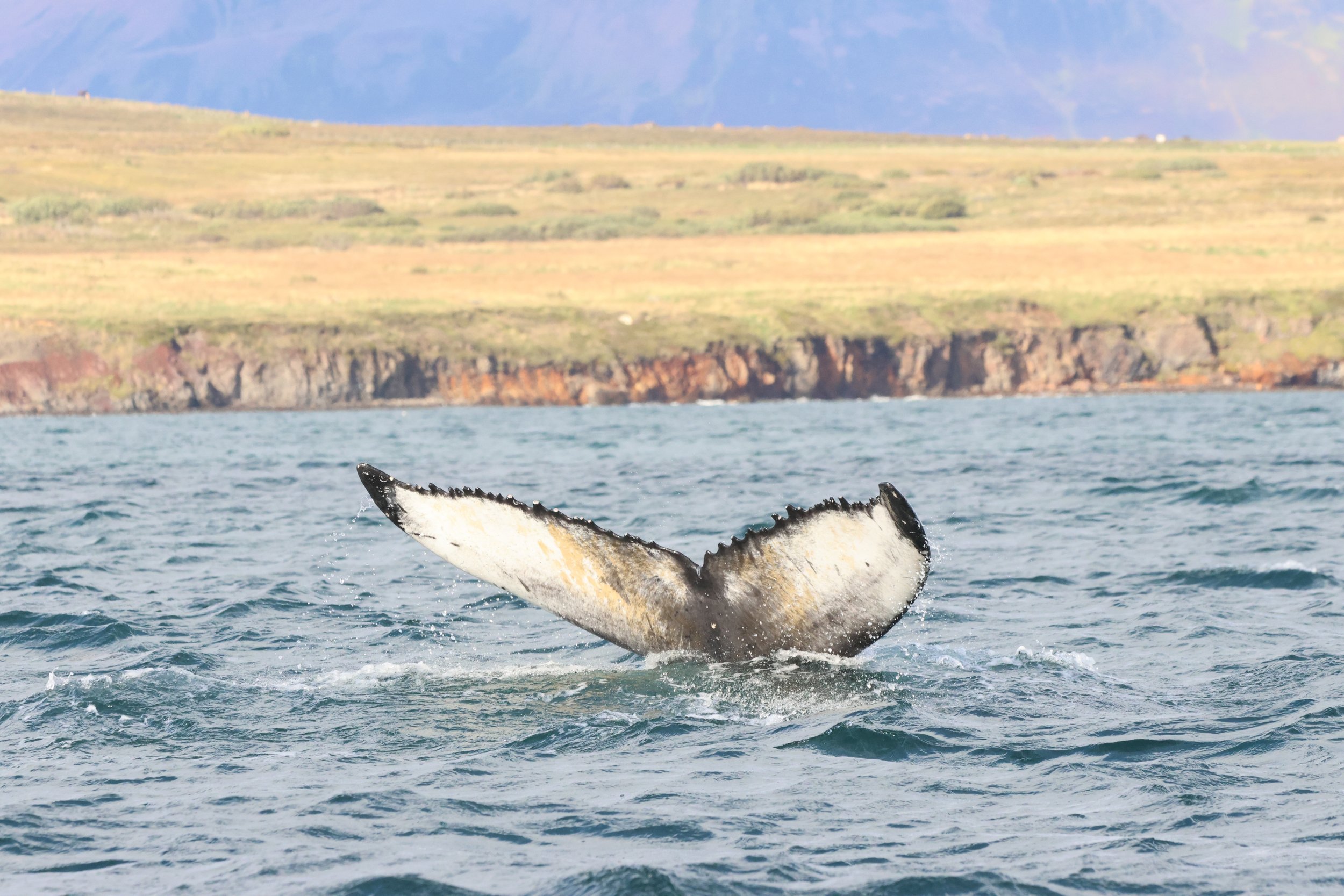 Tuesday, 9th September 2025