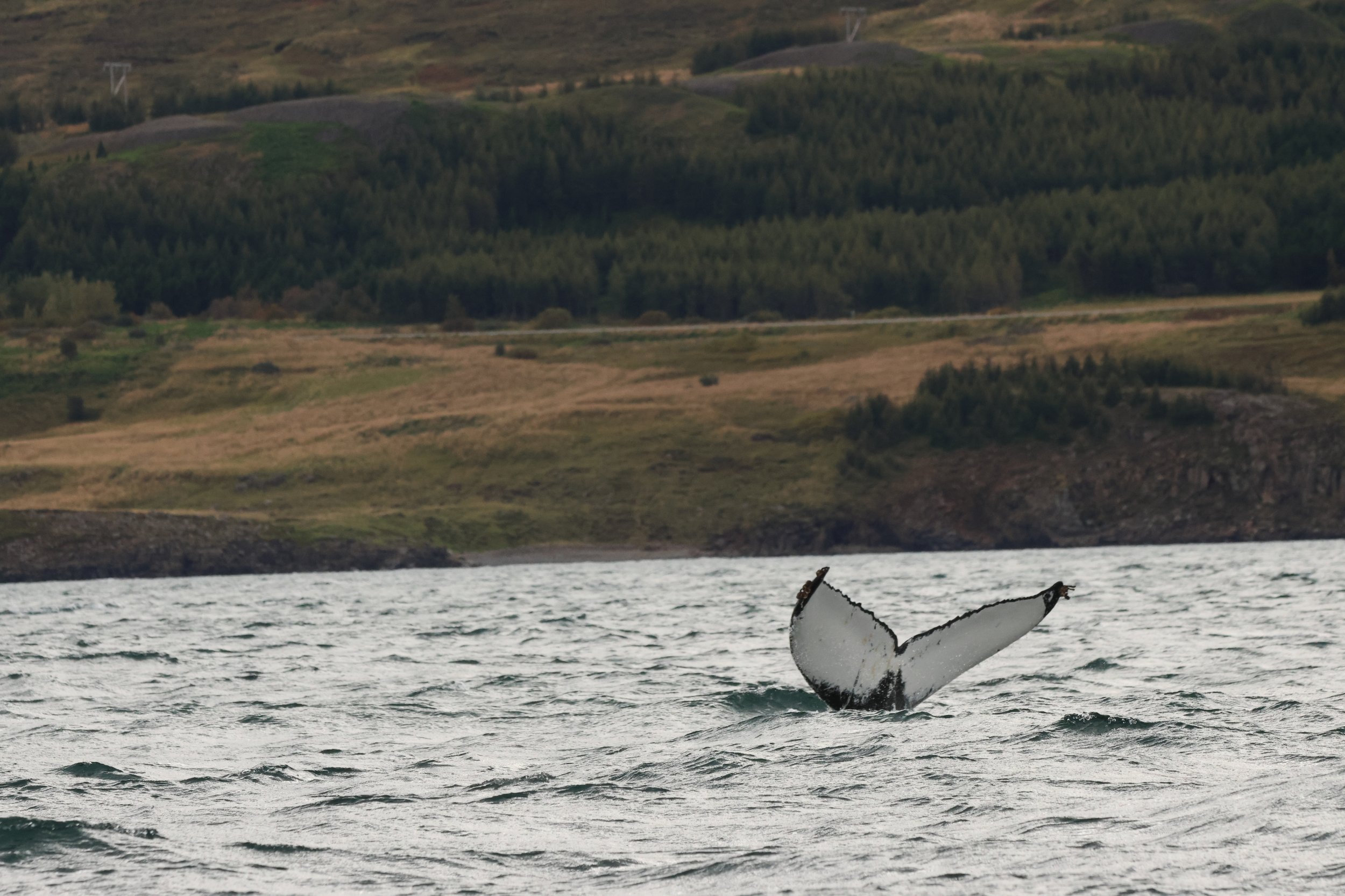 Tuesday, 9th September 2025